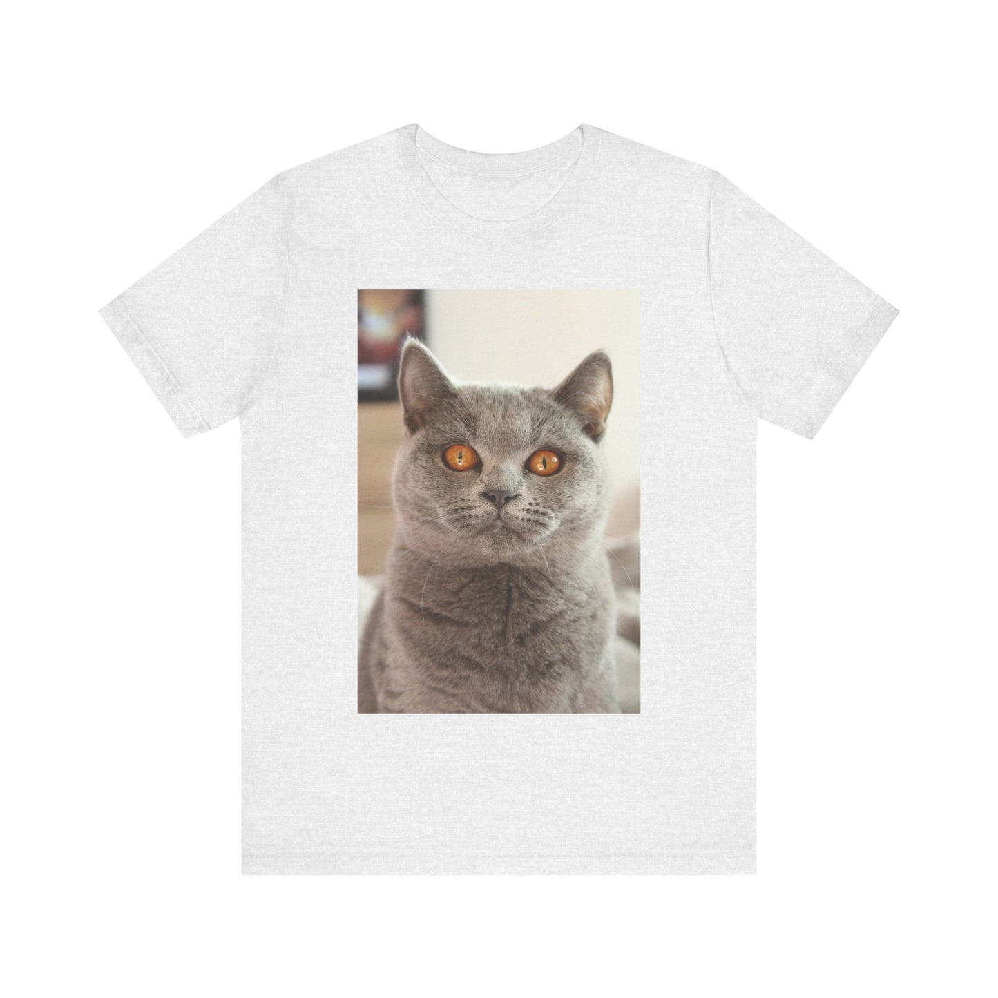 Grey Cat looks at you - Unisex Jersey Short Sleeve Tee