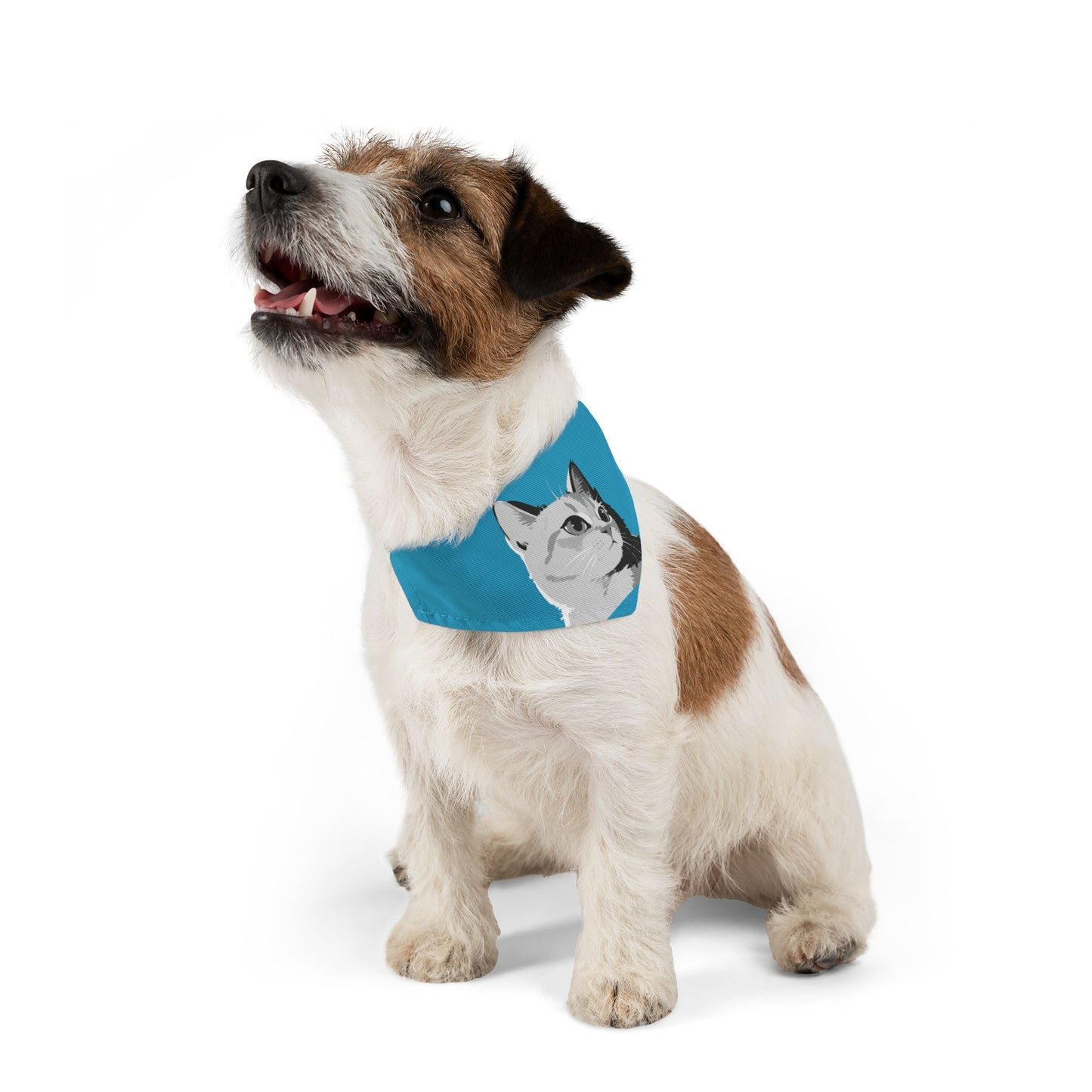 Turquoise Cat head Bandana Collar for Cats and Dogs, Cute Pet Accessory, Cat Fashion, Cat Gift, Playful Pet Gear