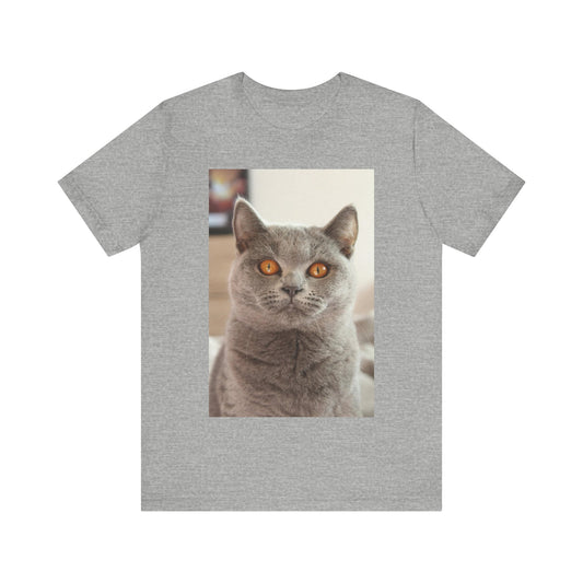 Grey Cat looks at you Photo Unisex Jersey Short Sleeve Tee