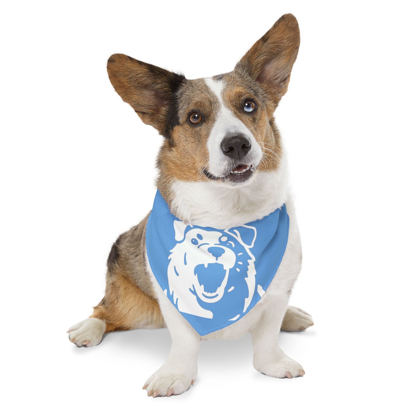 Dog Head Bandana Collar Cats and Dogs Accessory Blue