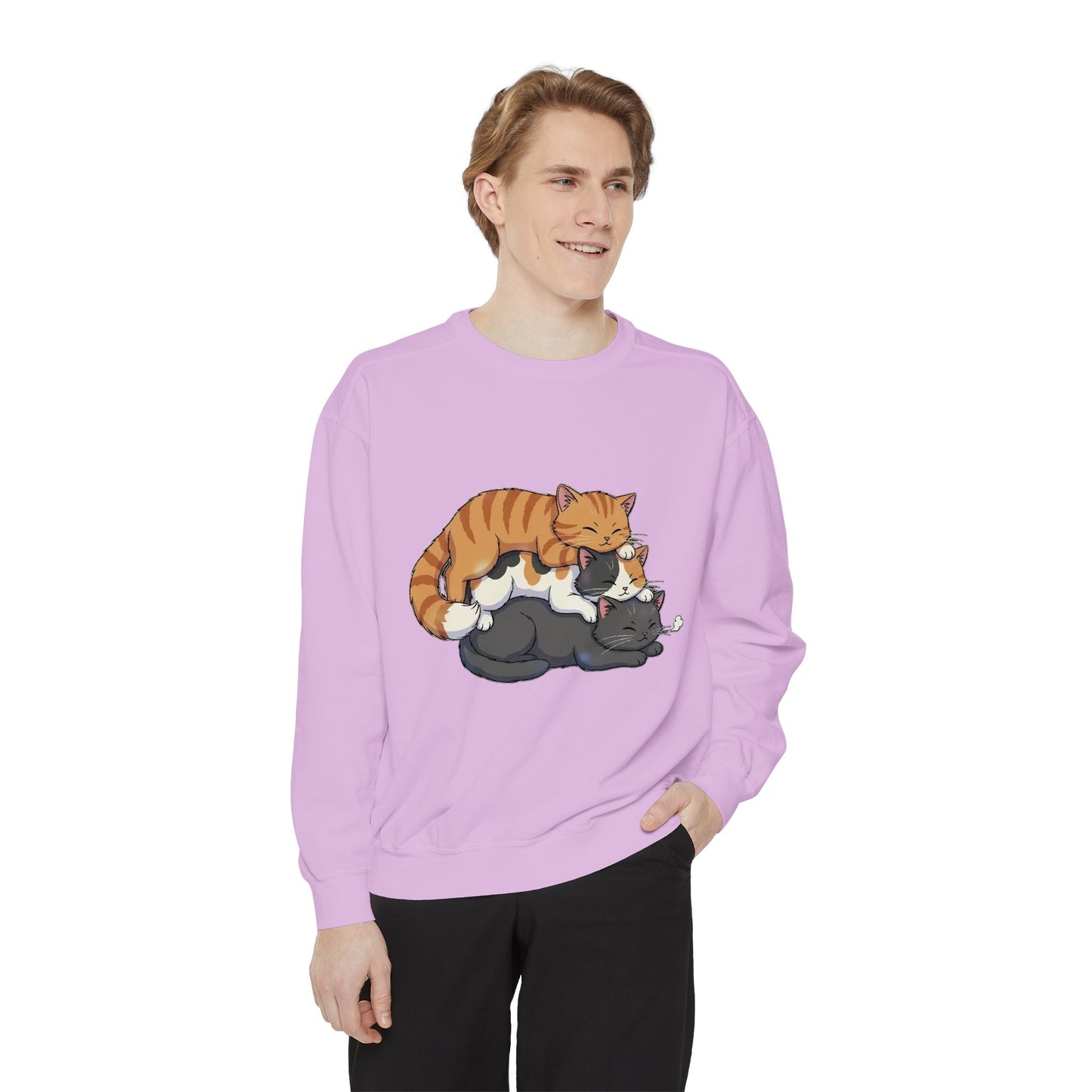 3 Cute Sleeping Cats Cozy Graphic Unisex Crewneck Sweatshirt style 6
