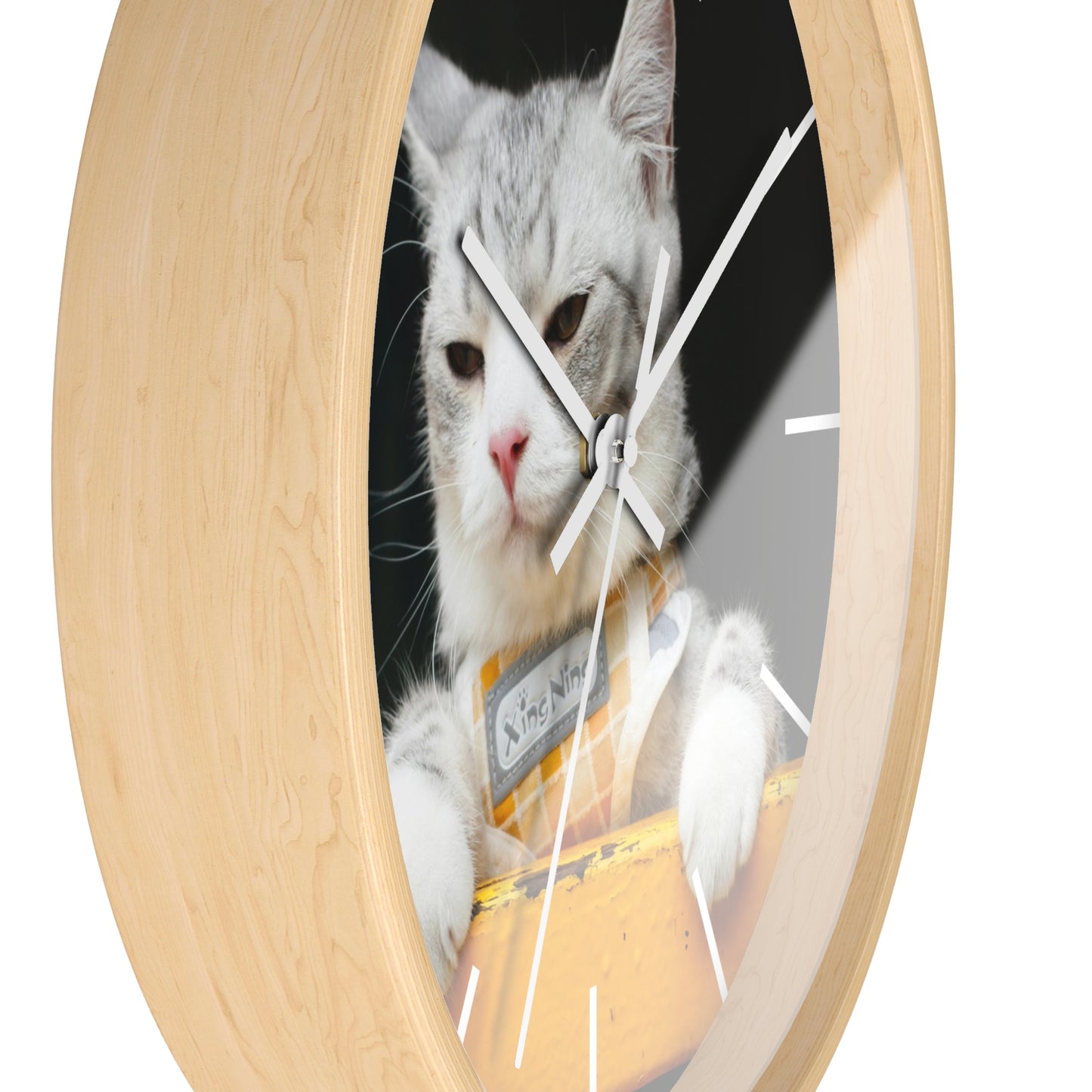 White Cat different colors Wall Clock