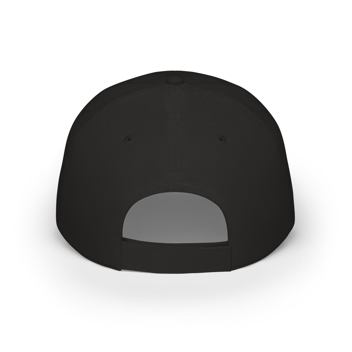Where is my money Cute Dog Low Profile Cap Hat