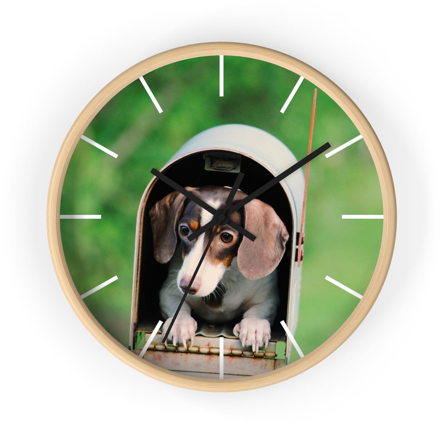 Dog in Post Box different colors Wall Clock