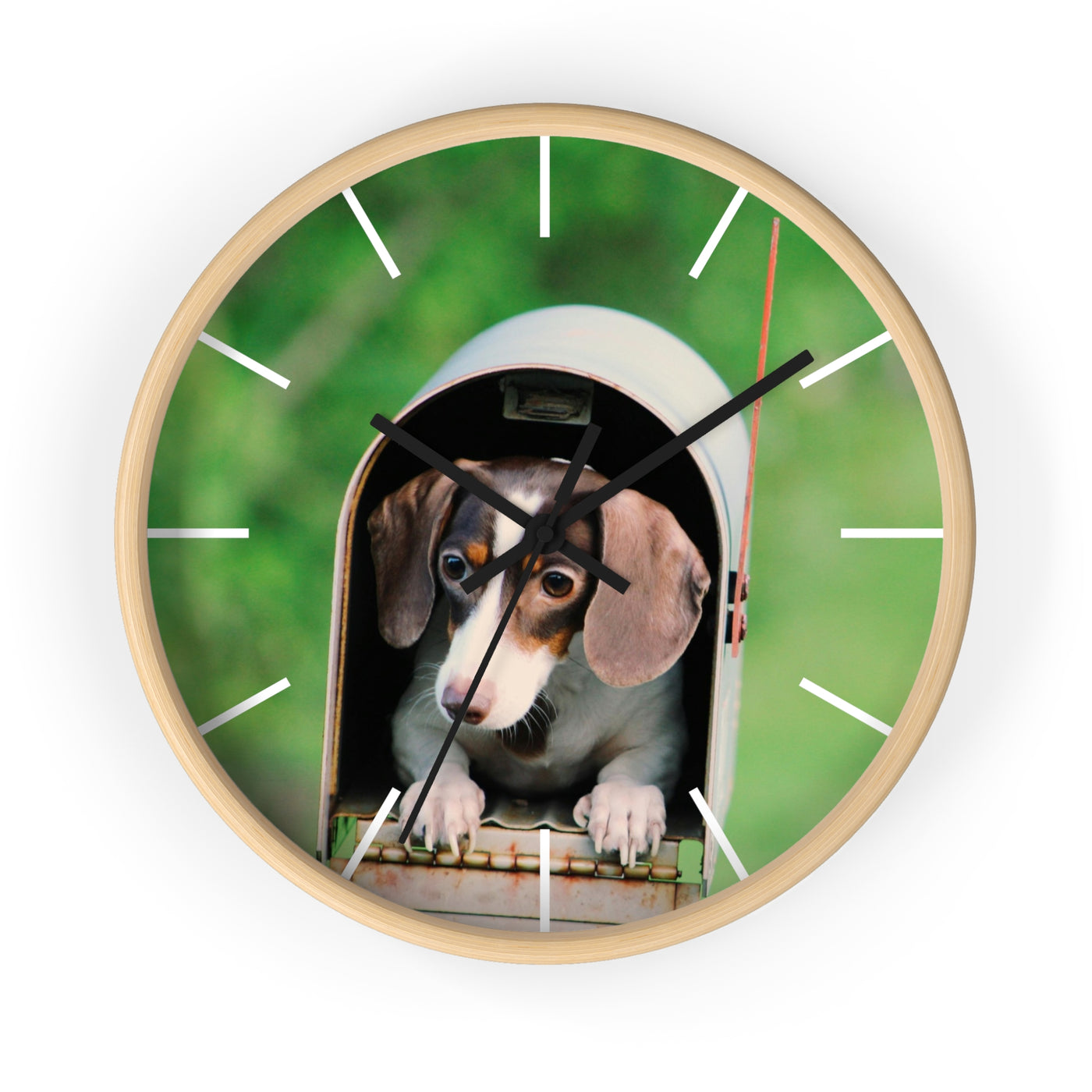Dog in Post Box Wall Clock