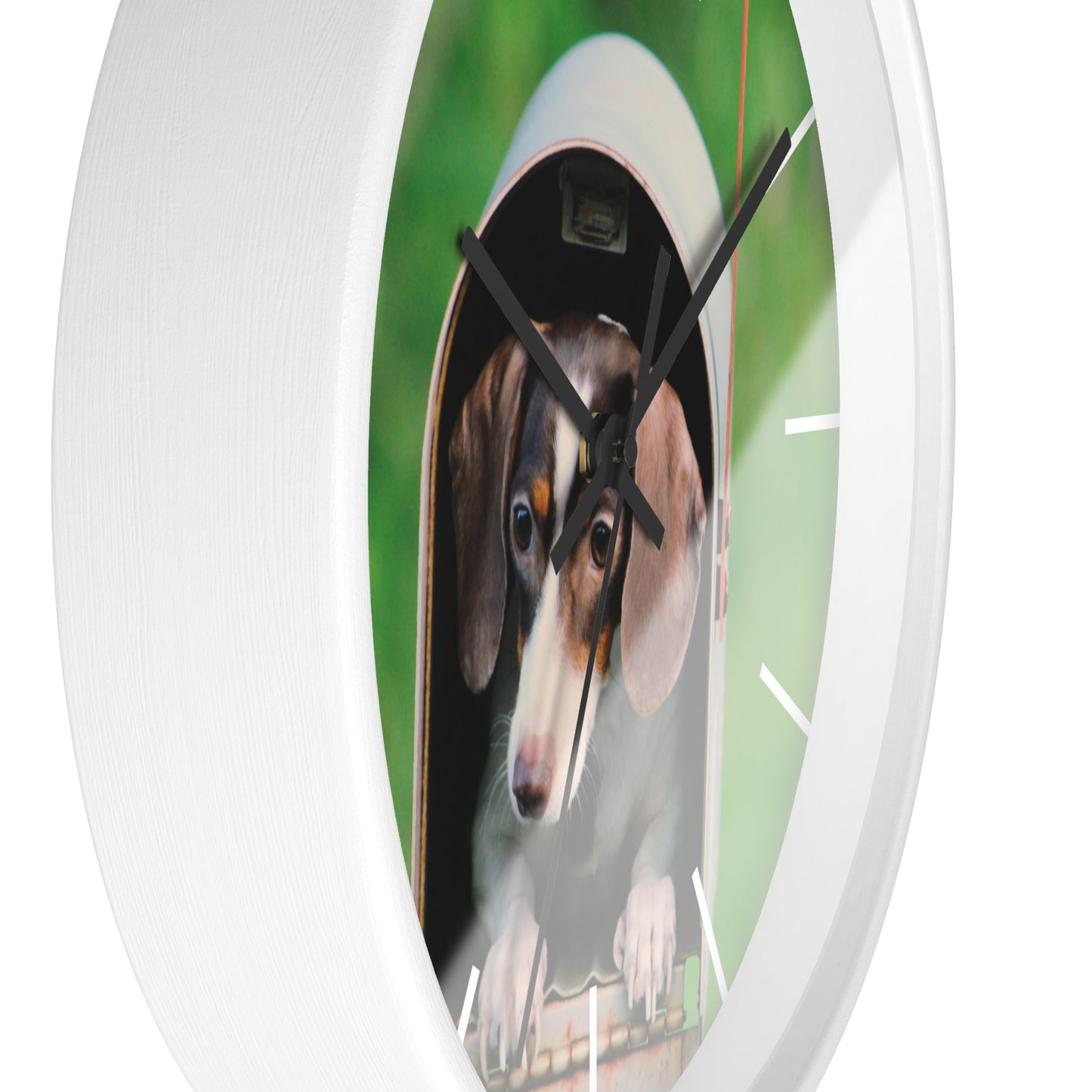 Dog in Post Box different colors Wall Clock