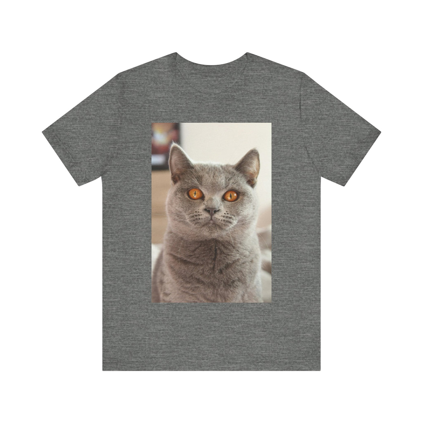 Grey Cat looks at you - Unisex Jersey Short Sleeve Tee