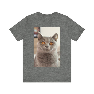 Grey Cat looks at you - Unisex Jersey Short Sleeve Tee