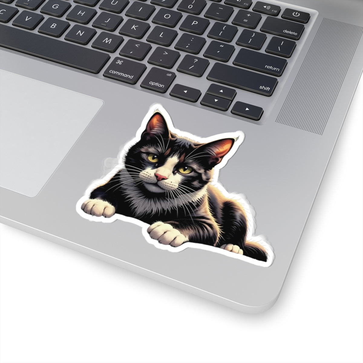 Cute Cat Kiss-Cut Stickers, Black Cat Vinyl Decals for Pet Lovers, Laptop Stickers, Cat Lover Gifts, Custom Pet Stickers