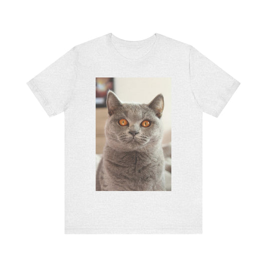 Grey Cat looks at you - Unisex Jersey Short Sleeve Tee