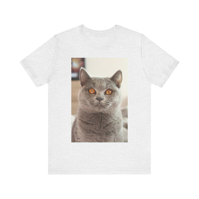 Grey Cat looks at you - Unisex Jersey Short Sleeve Tee
