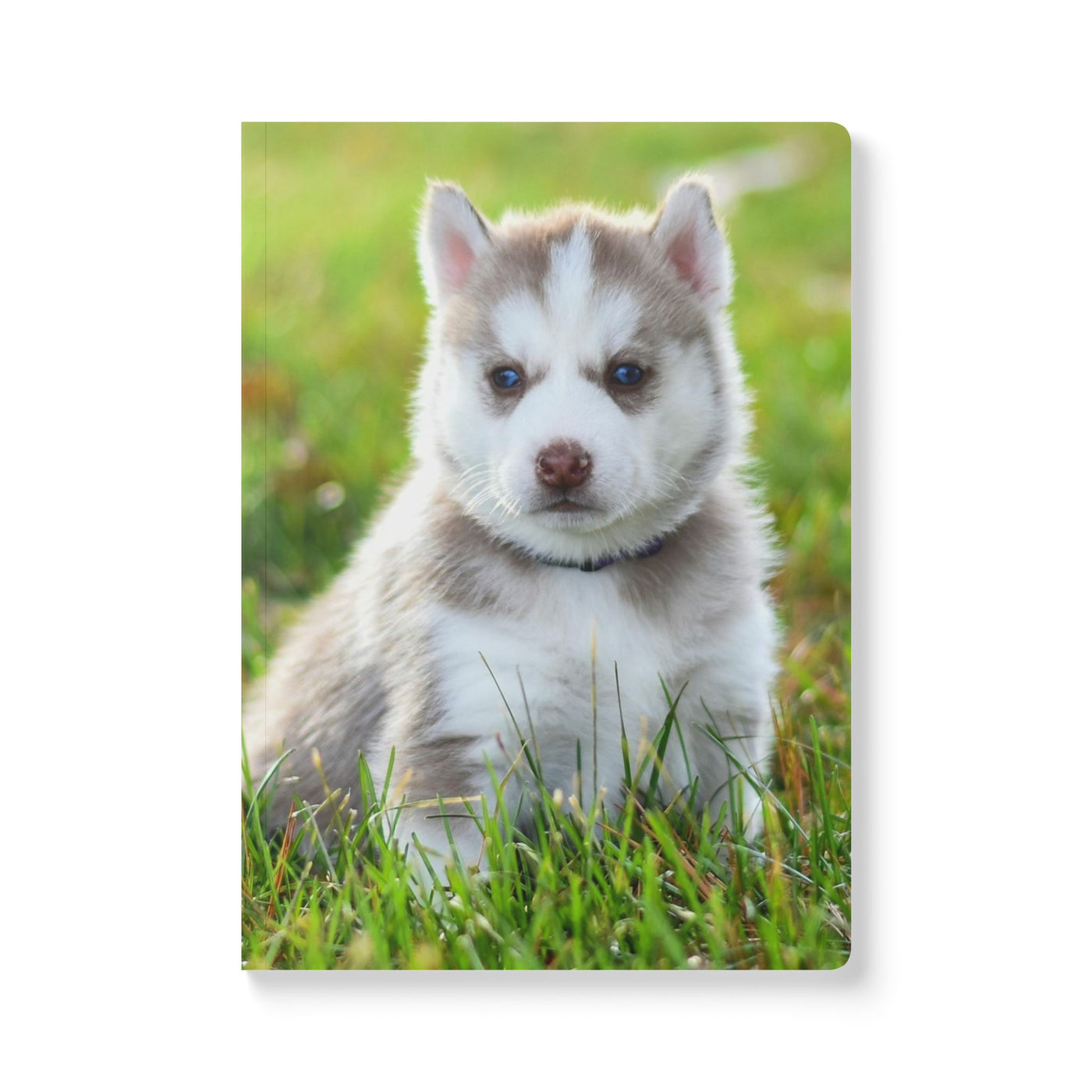 Adorable Dogs Softcover Journal - Perfect for Pet Lovers, Note-Taking, Journaling, Gifts, and Daily Reflection