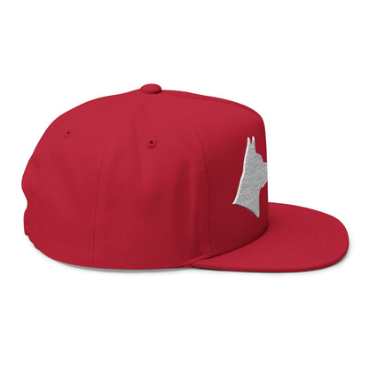 Stylish Embroidered Dog Mom Flat Bill Cap style 5