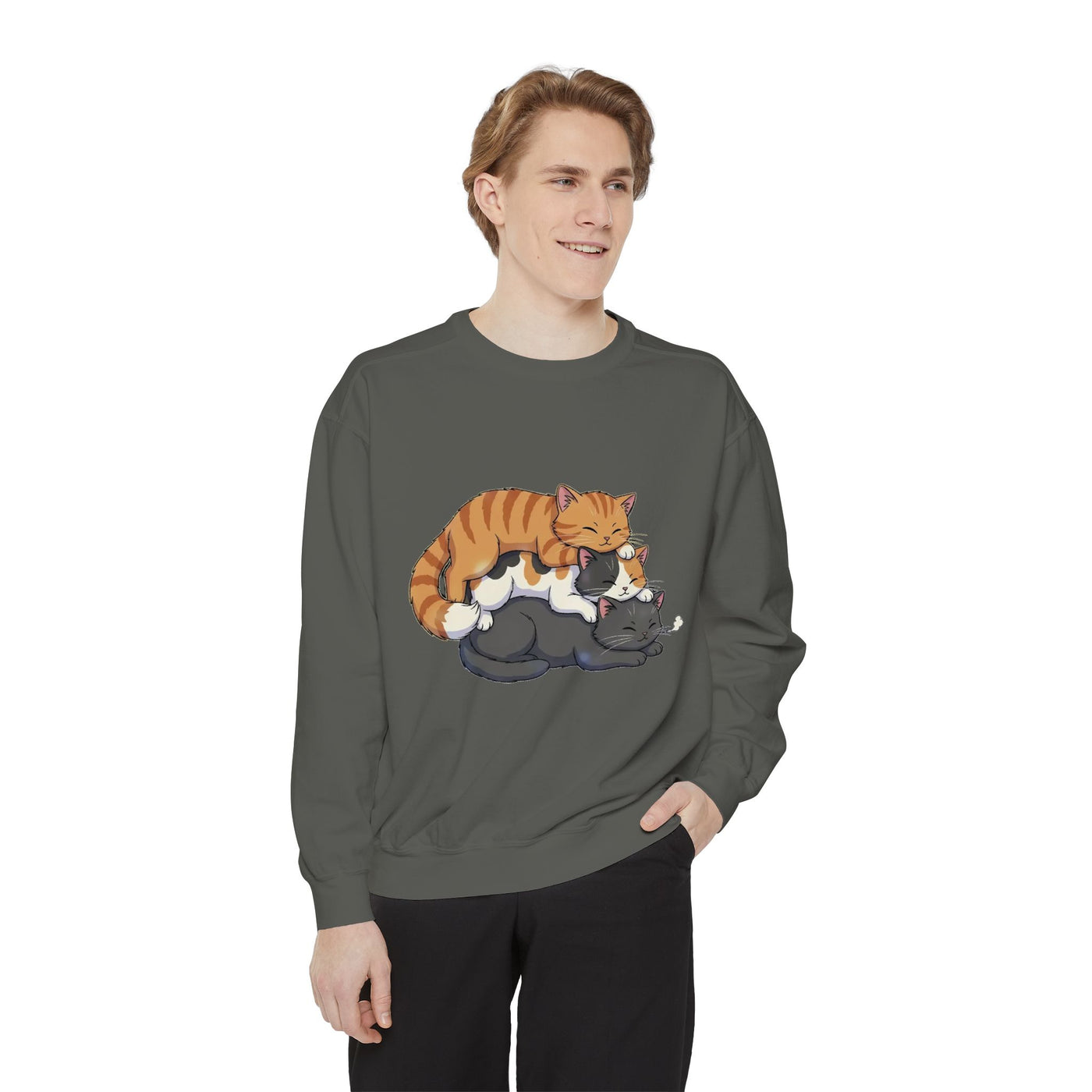 3 Cute Sleeping Cats style 6 Cozy Graphic Unisex Crewneck Sweatshirt