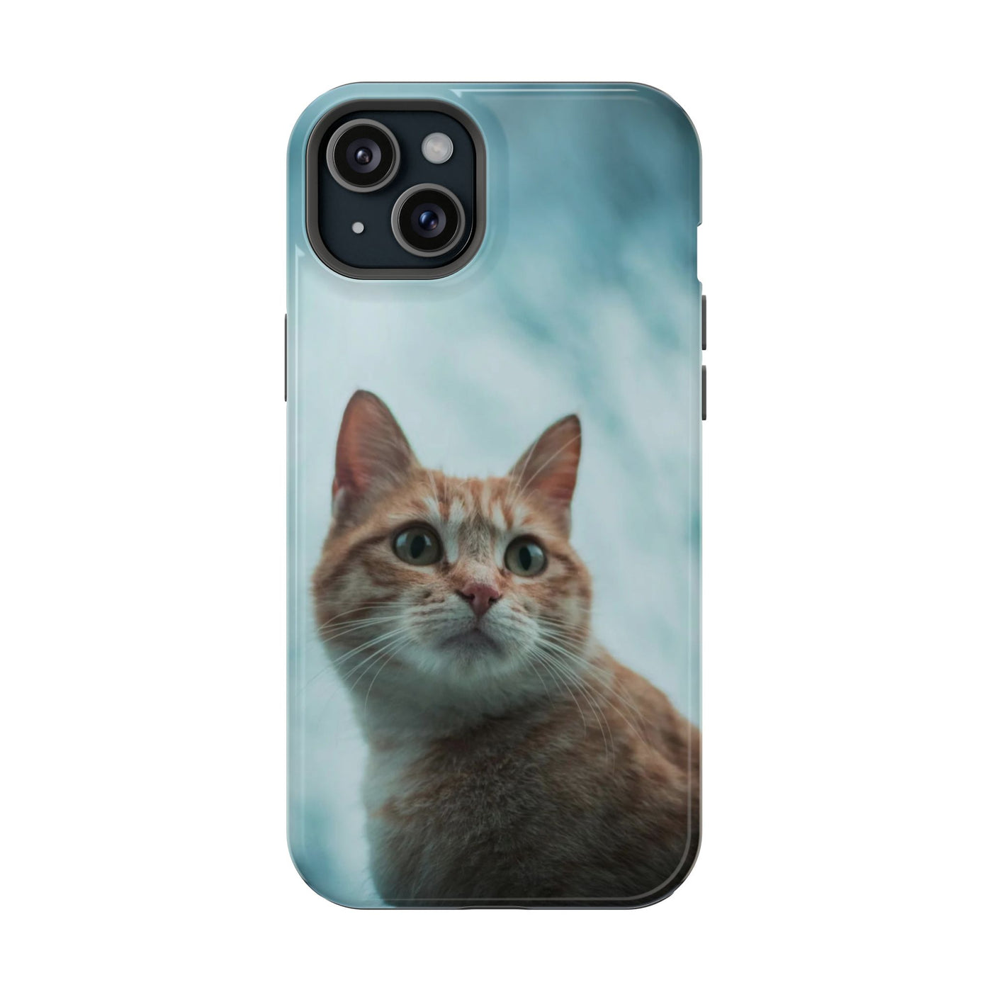 Cute Cat Magnetic Phone Case style 1 - Durable Pet Lover Gift, Impact-Resistant, Cat-Themed Accessories, Unique Pet Gifts, Birthday Gifts