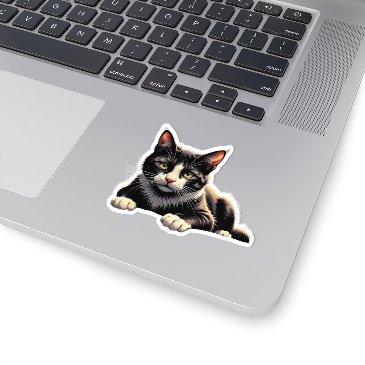 Cute Cat Kiss-Cut Stickers, Black Cat Vinyl Decals for Pet Lovers, Laptop Stickers, Cat Lover Gifts, Custom Pet Stickers
