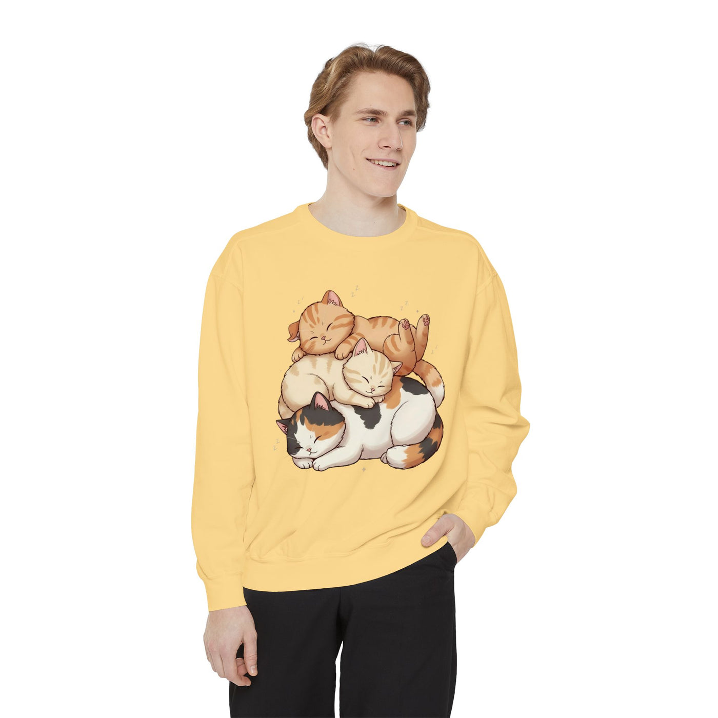 3 Cute Sleeping Cats style 1 Cozy Graphic Unisex Crewneck Sweatshirt