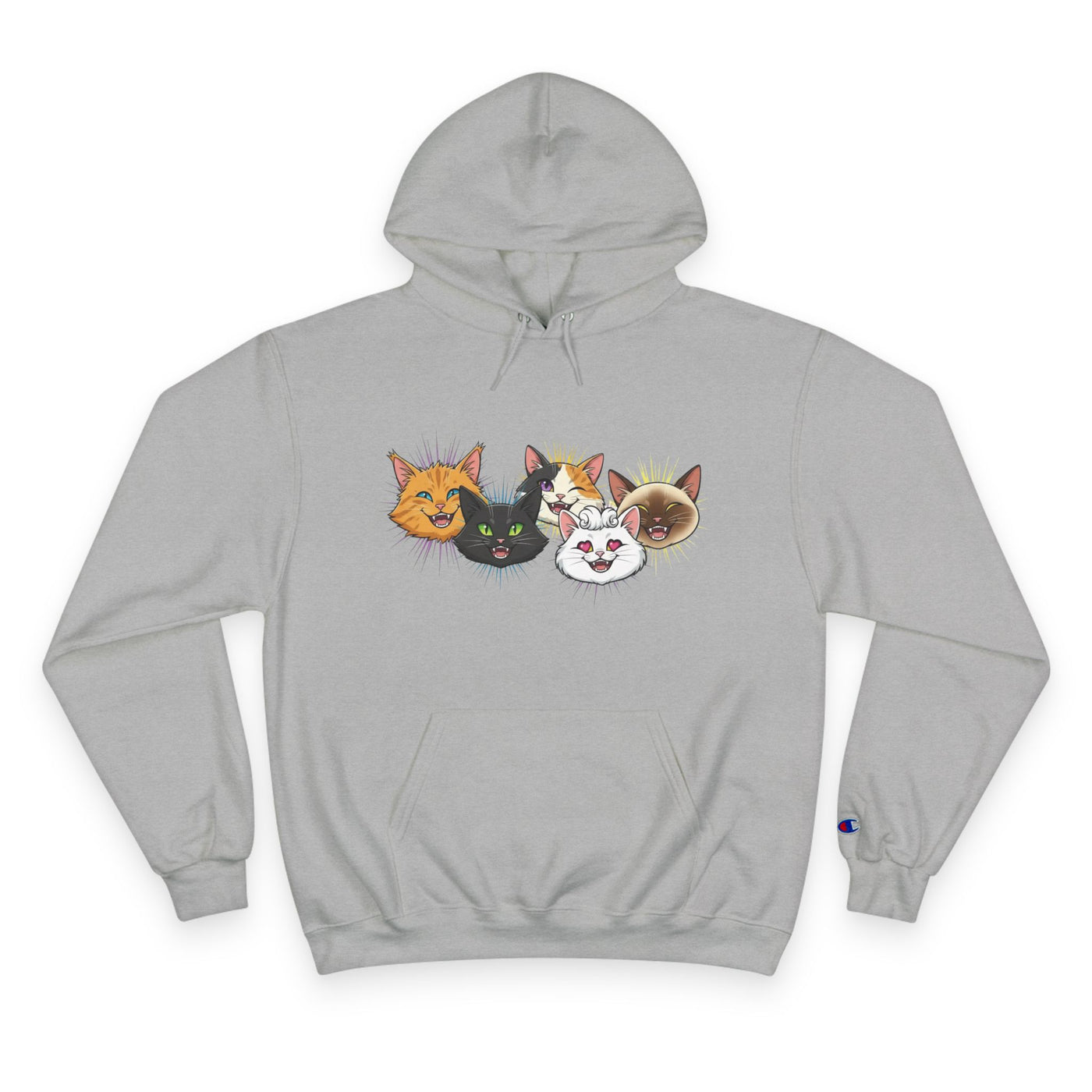 Playful Cat Champion Unisex Hoodie | Cozy Cat Lover Pullover, Pet Themed Gift, Cute Animal Apparel, Perfect for Cat Days