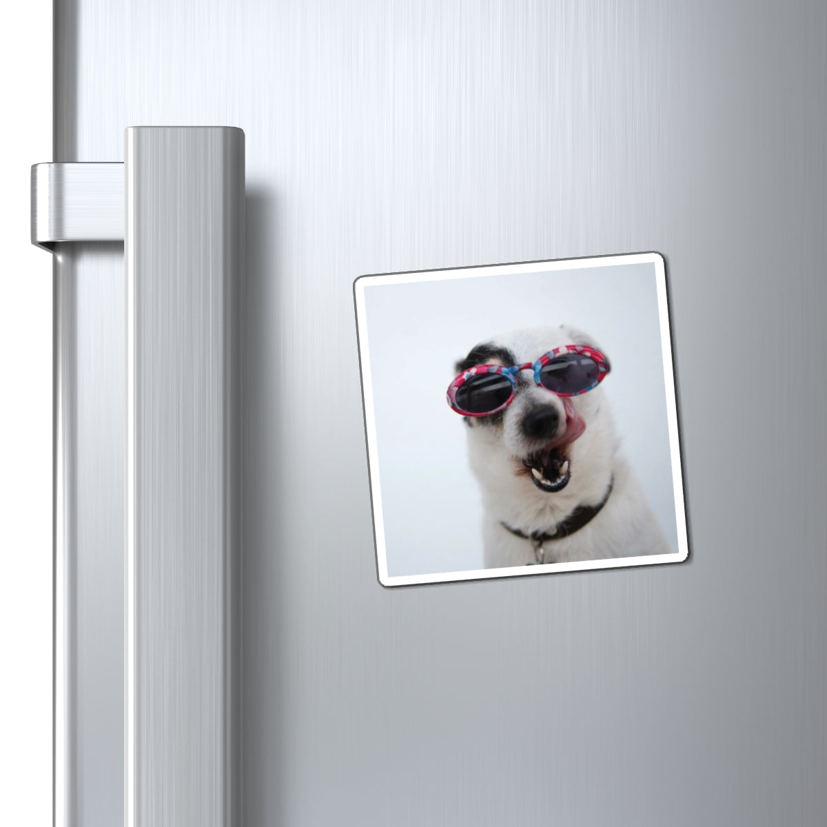 Funny Dog Photo Magnet