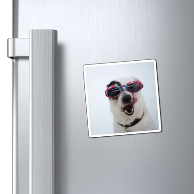 Funny Dog Photo Magnet