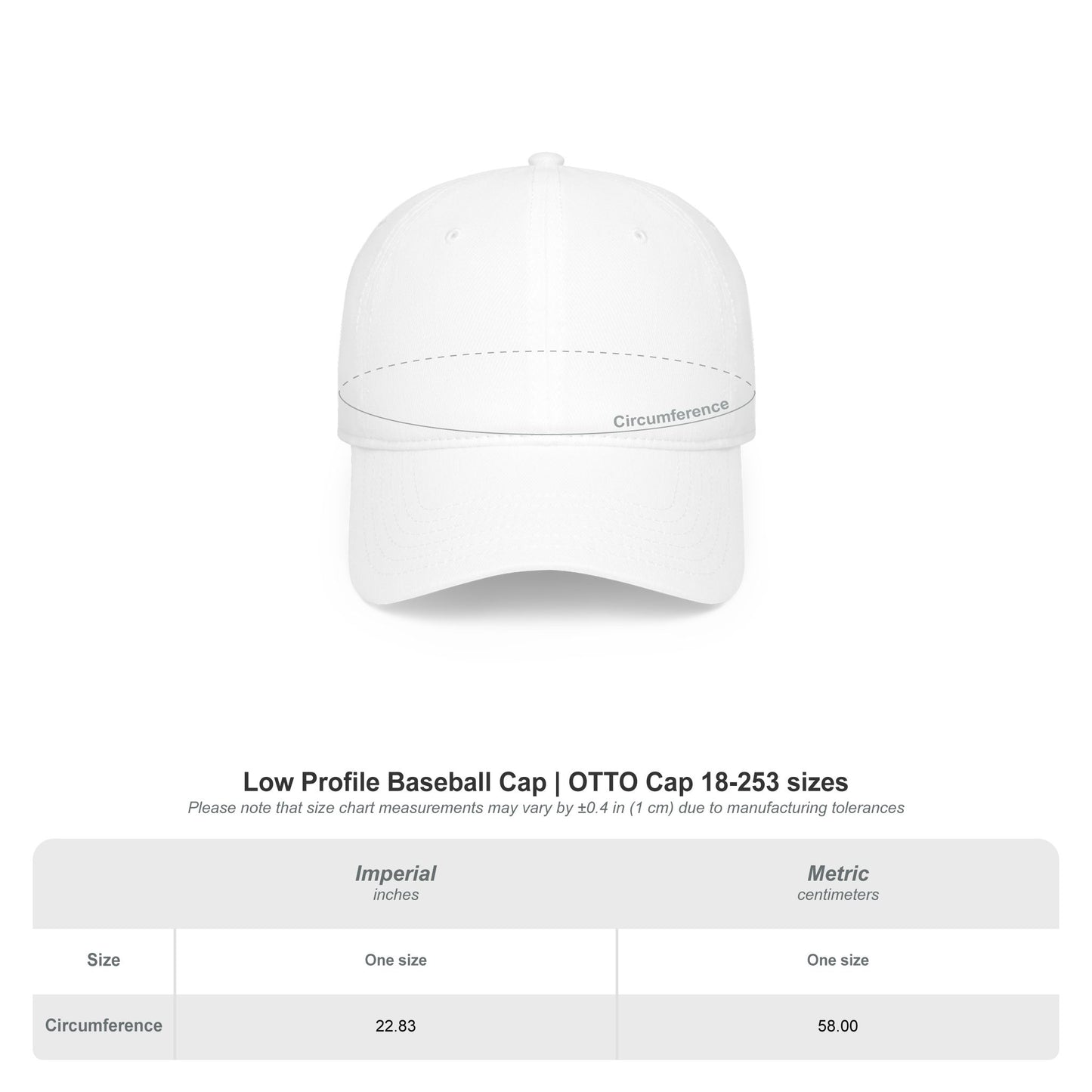 I Just Wanna Get Some Sleep Pixel Dog Low Profile Cap Hat
