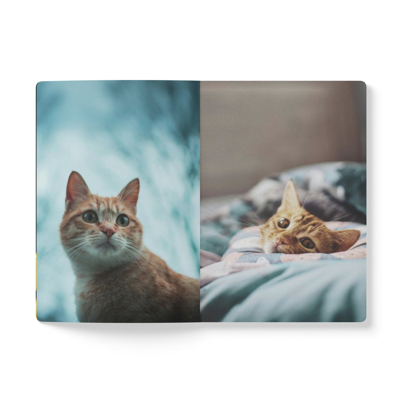 Cozy Cat Softcover Journal - Perfect for Nature Lovers, Gift for Pet Owners, Journal for Writing, Cute Cat Lover Notebook