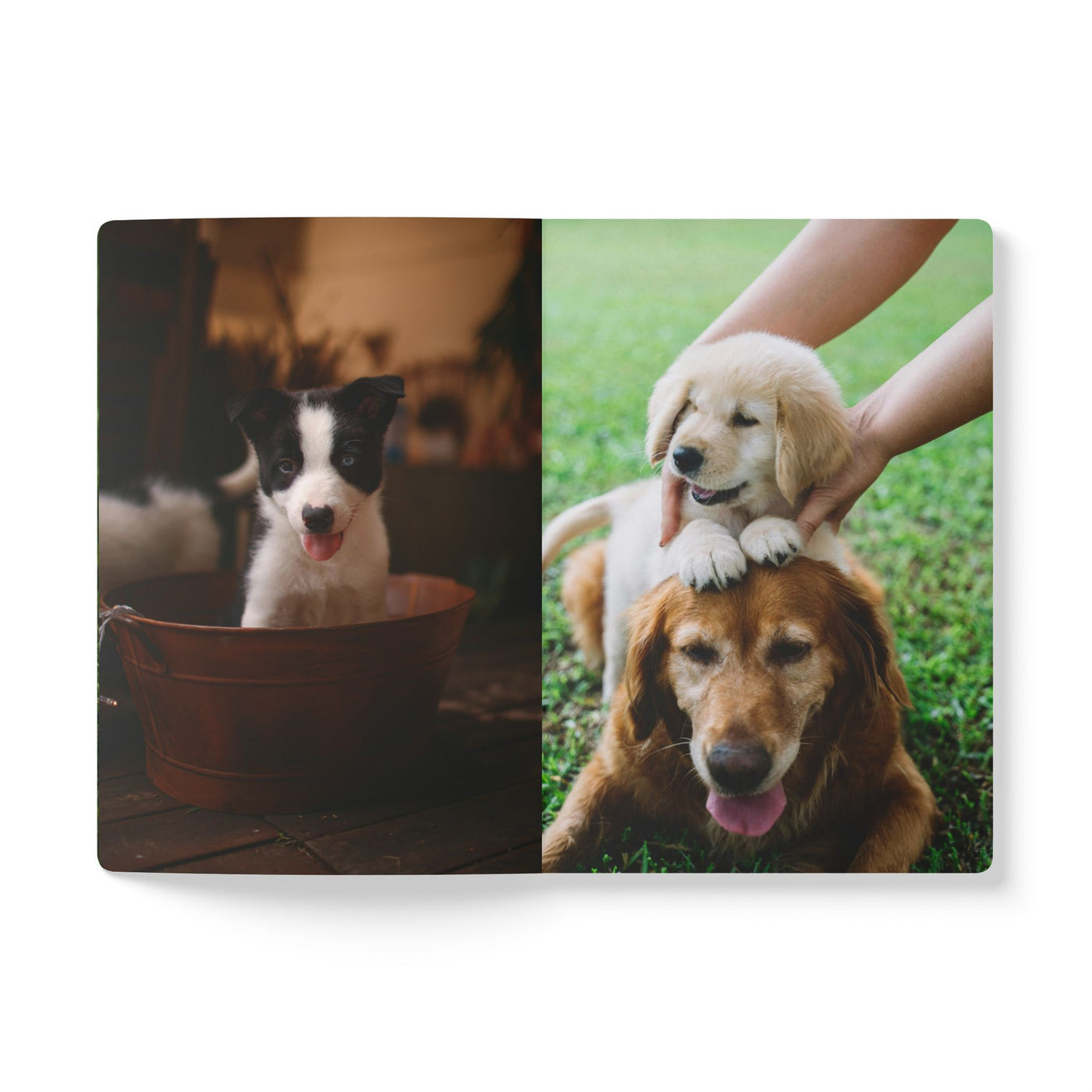 Adorable Dogs Softcover Journal - Perfect for Pet Lovers, Note-Taking, Journaling, Gifts, and Daily Reflection