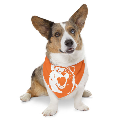 Orange Dog Bandana Collar – Dog Accessory, Great for Playtime, Pet Parties, Dog Walks, Halloween Costumes, and Summer Fun