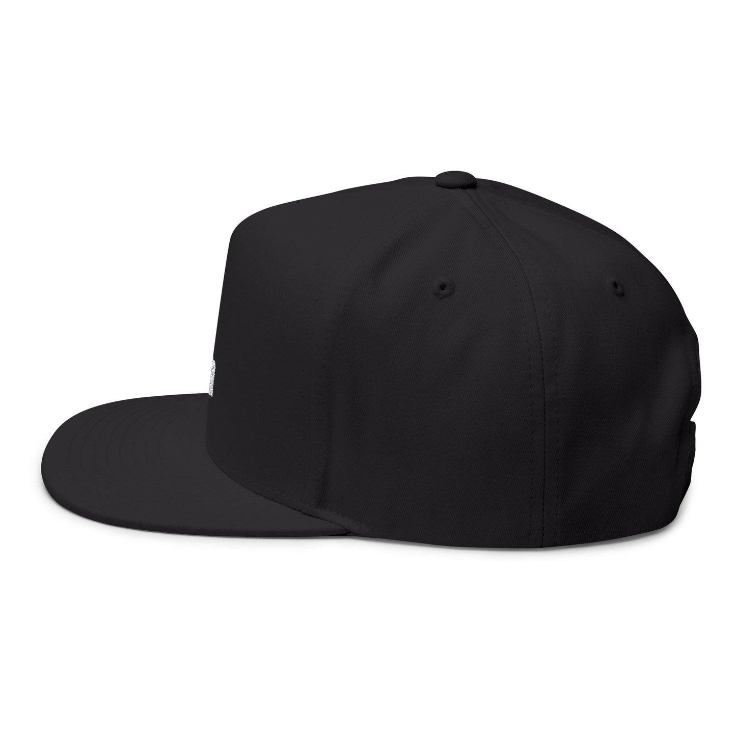 Stylish Embroidered Cat Mom Flat Bill Cap style 4