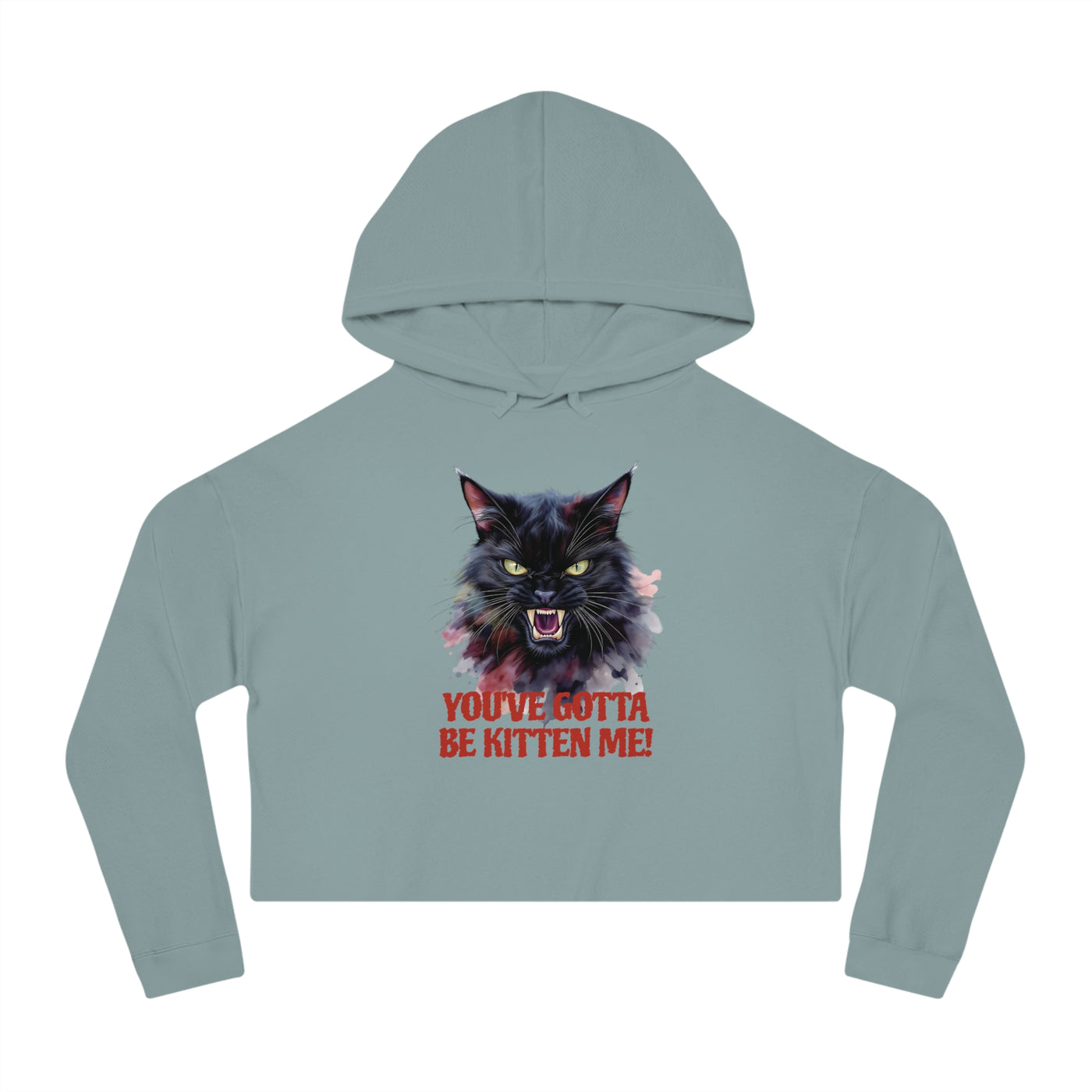 You've Gotta Be Kitten Me - Black Cat Graphic Women Cropped Hoodie