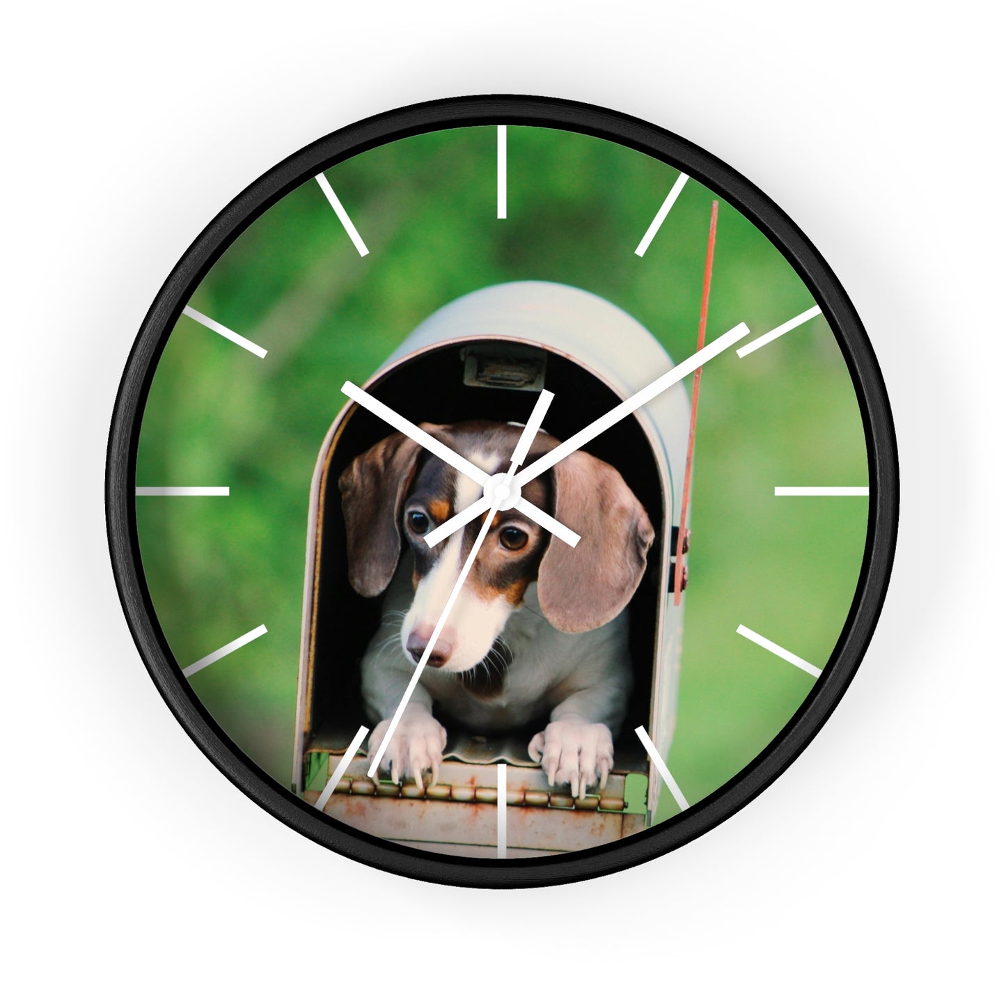 Dog in Post Box different colors Wall Clock
