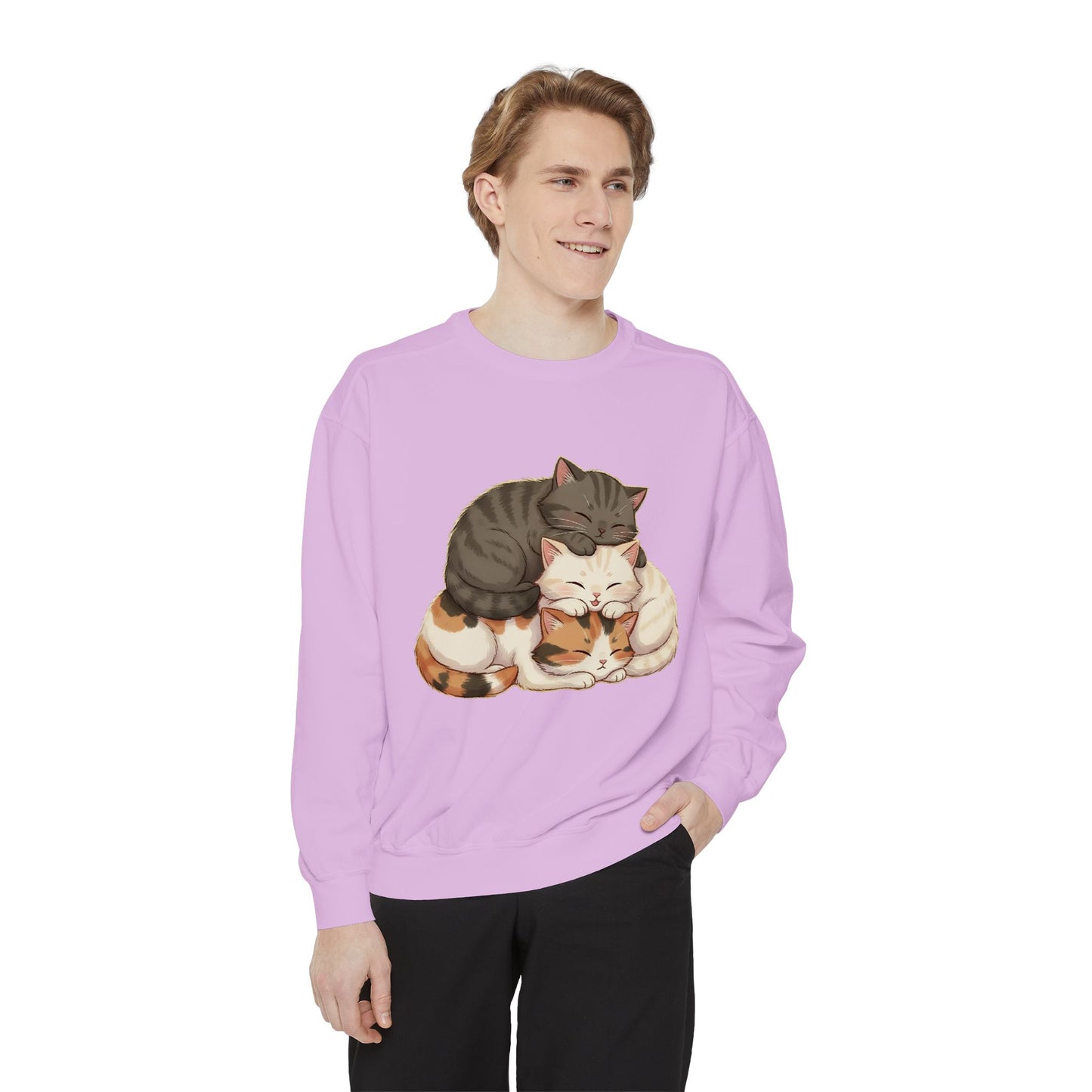 3 Cute Sleeping Cats Cozy Graphic Unisex Crewneck Sweatshirt style 3