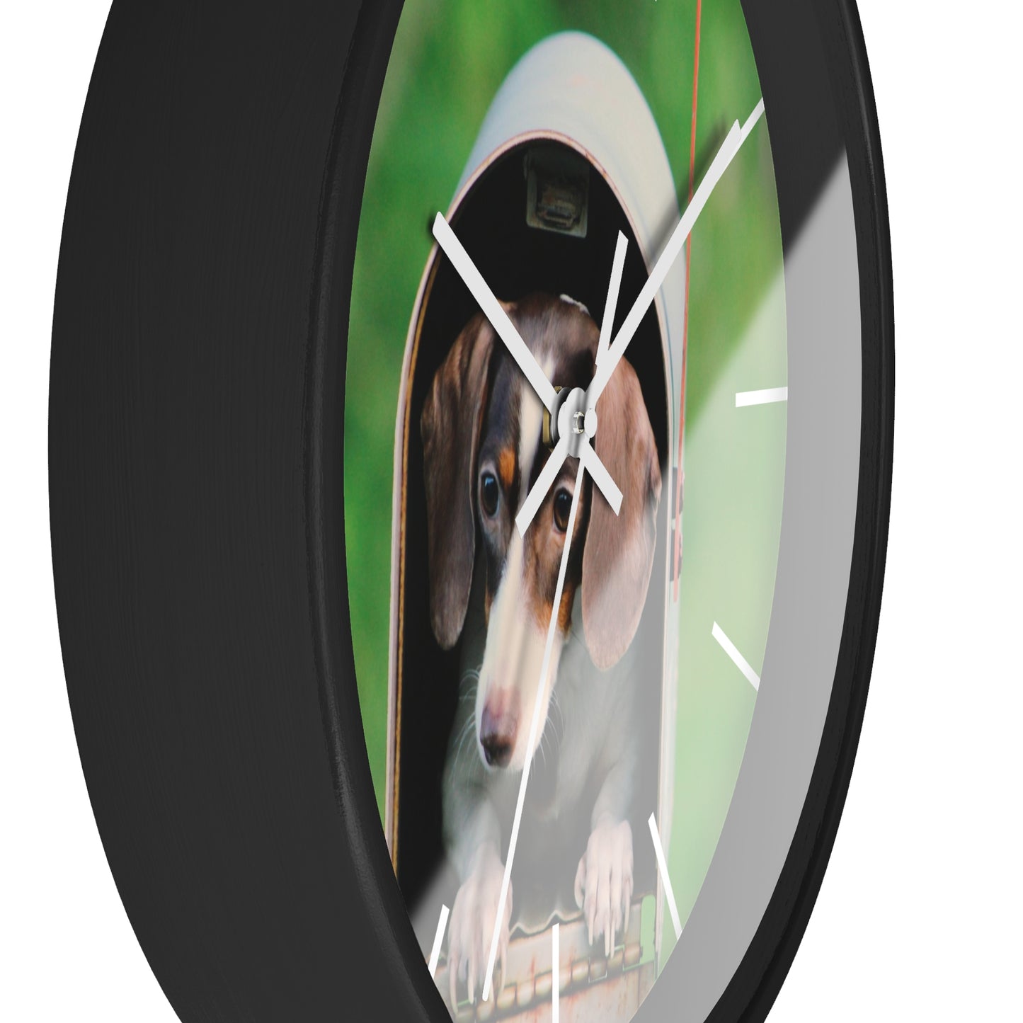 Dog in Post Box different colors Wall Clock