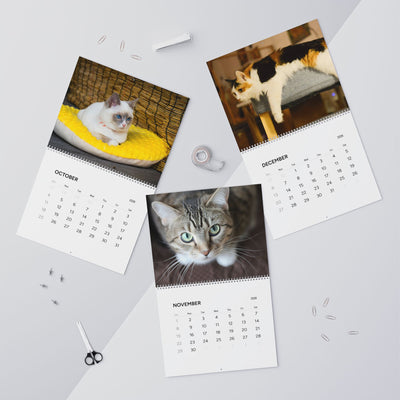 2026 Cat Wall Calendar, Cute Kitten Theme, Animal Lover Gift, Pet Lover Wall Decor, Monthly Planner