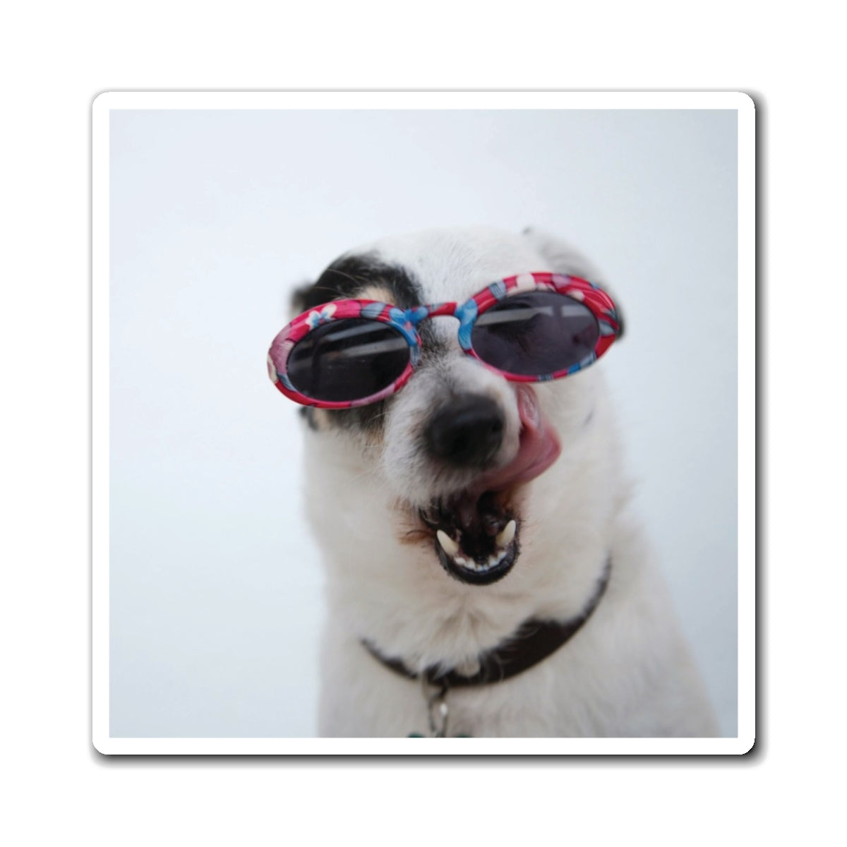 Funny Dog Photo Magnet