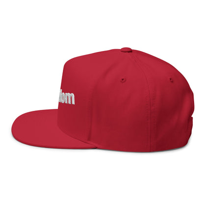 Stylish Embroidered Dog Mom Flat Bill Cap style 1