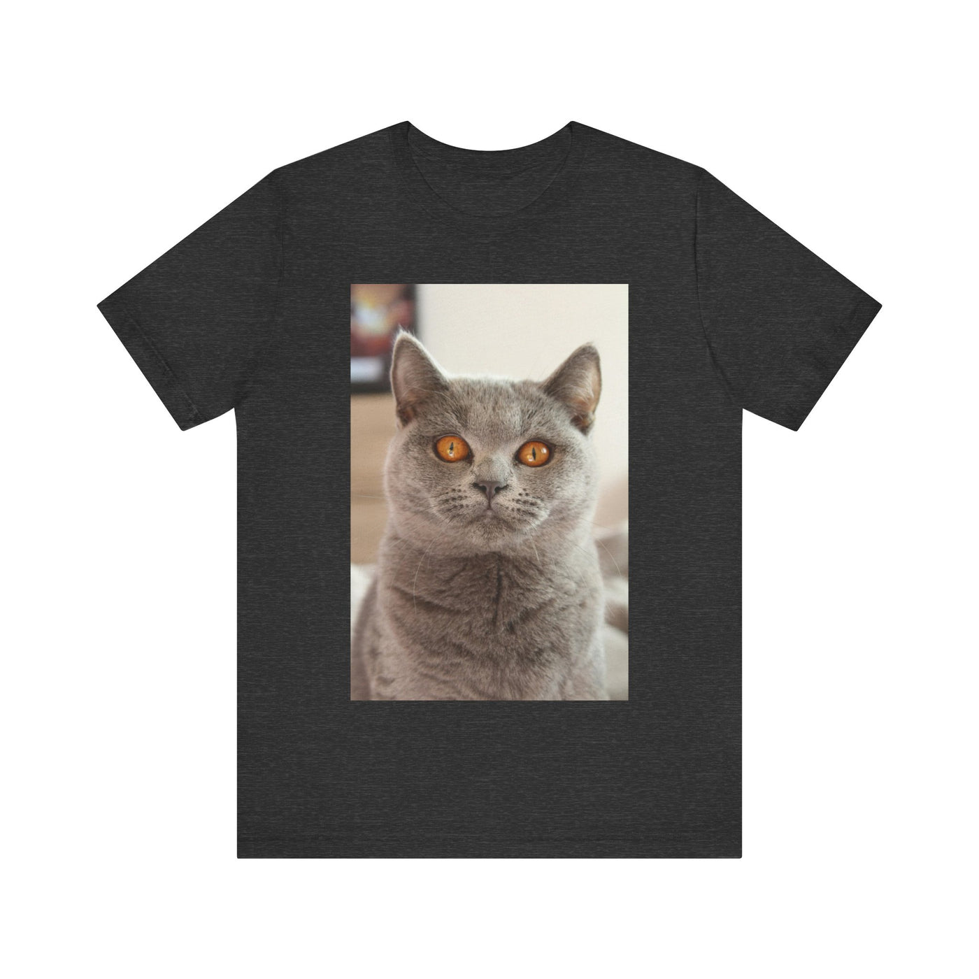 Grey Cat looks at you - Unisex Jersey Short Sleeve Tee