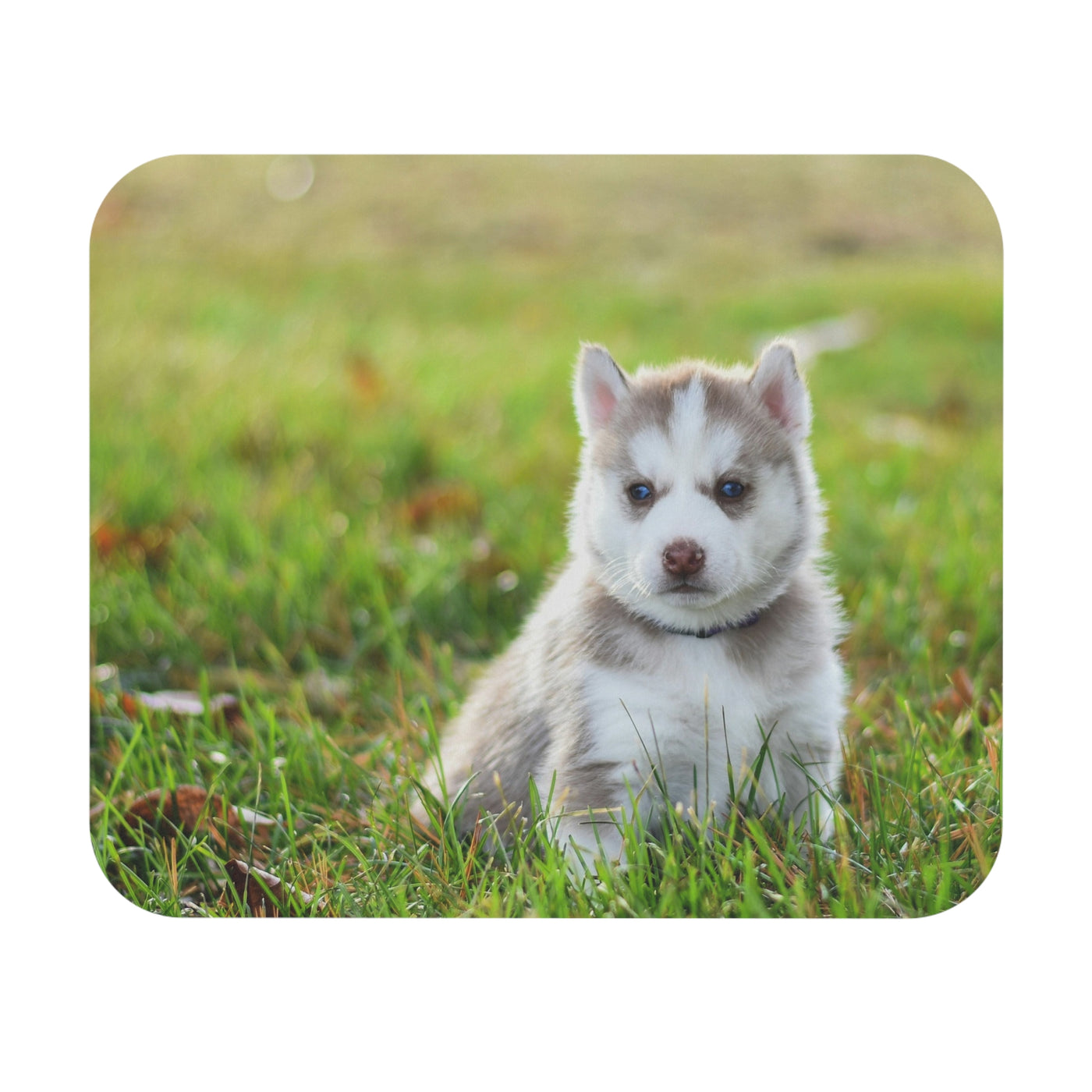 Adorable Husky Puppy Mouse Pad, Pet Lover Gift, Office Decor, Animal Lover Accessory, Cute Desk Accessories