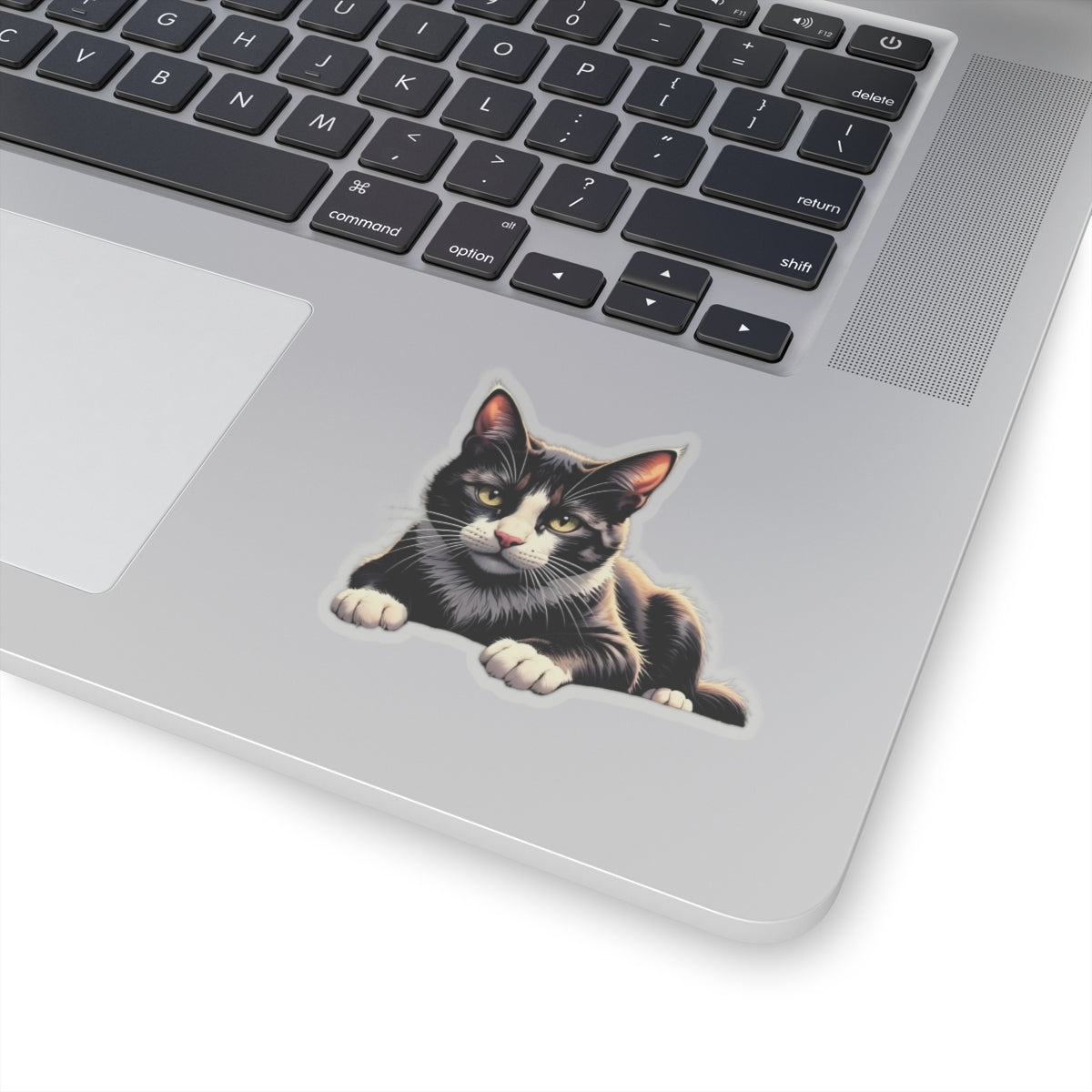 Cute Cat Kiss-Cut Stickers, Black Cat Vinyl Decals for Pet Lovers, Laptop Stickers, Cat Lover Gifts, Custom Pet Stickers