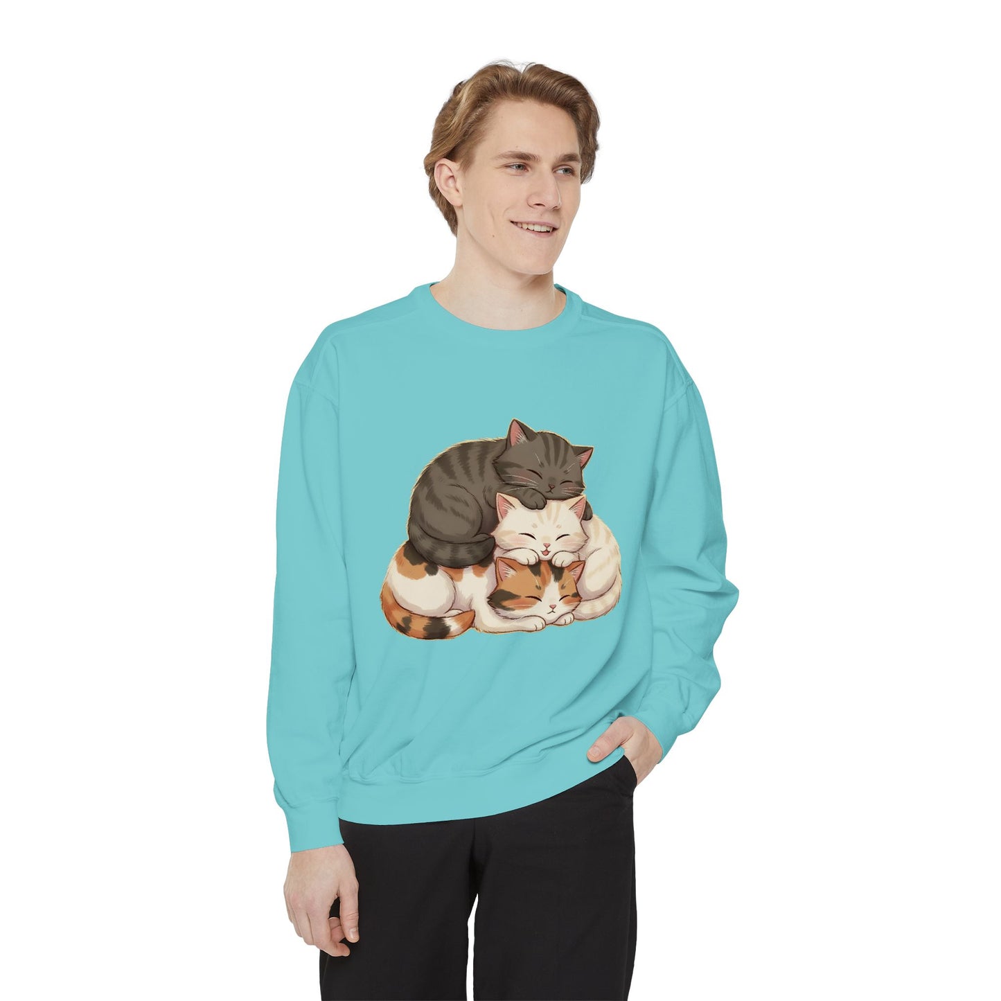 3 Cute Sleeping Cats Cozy Graphic Unisex Crewneck Sweatshirt style 3