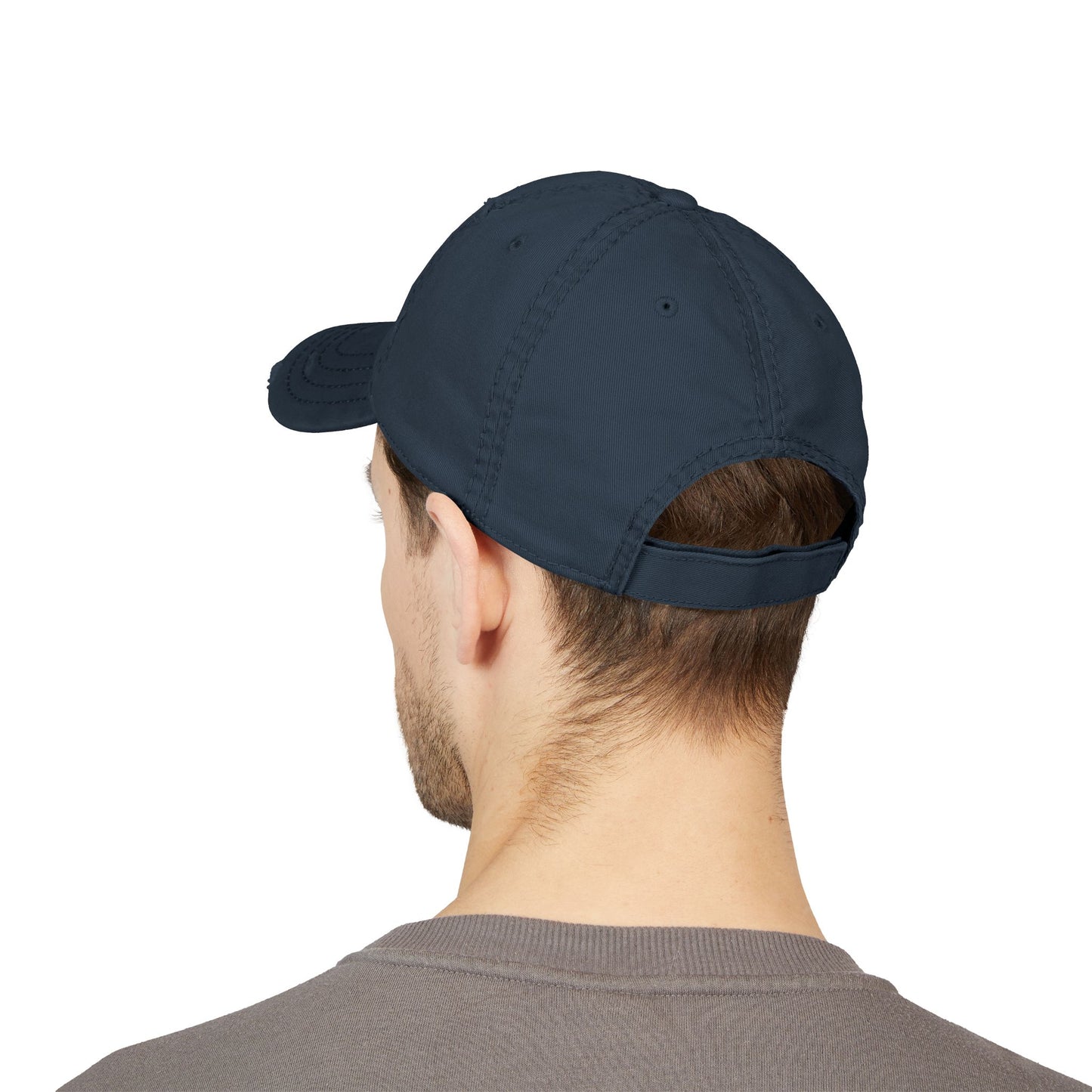 Cats Lover Distressed Embroidered Cap Dad Hat Brown Words