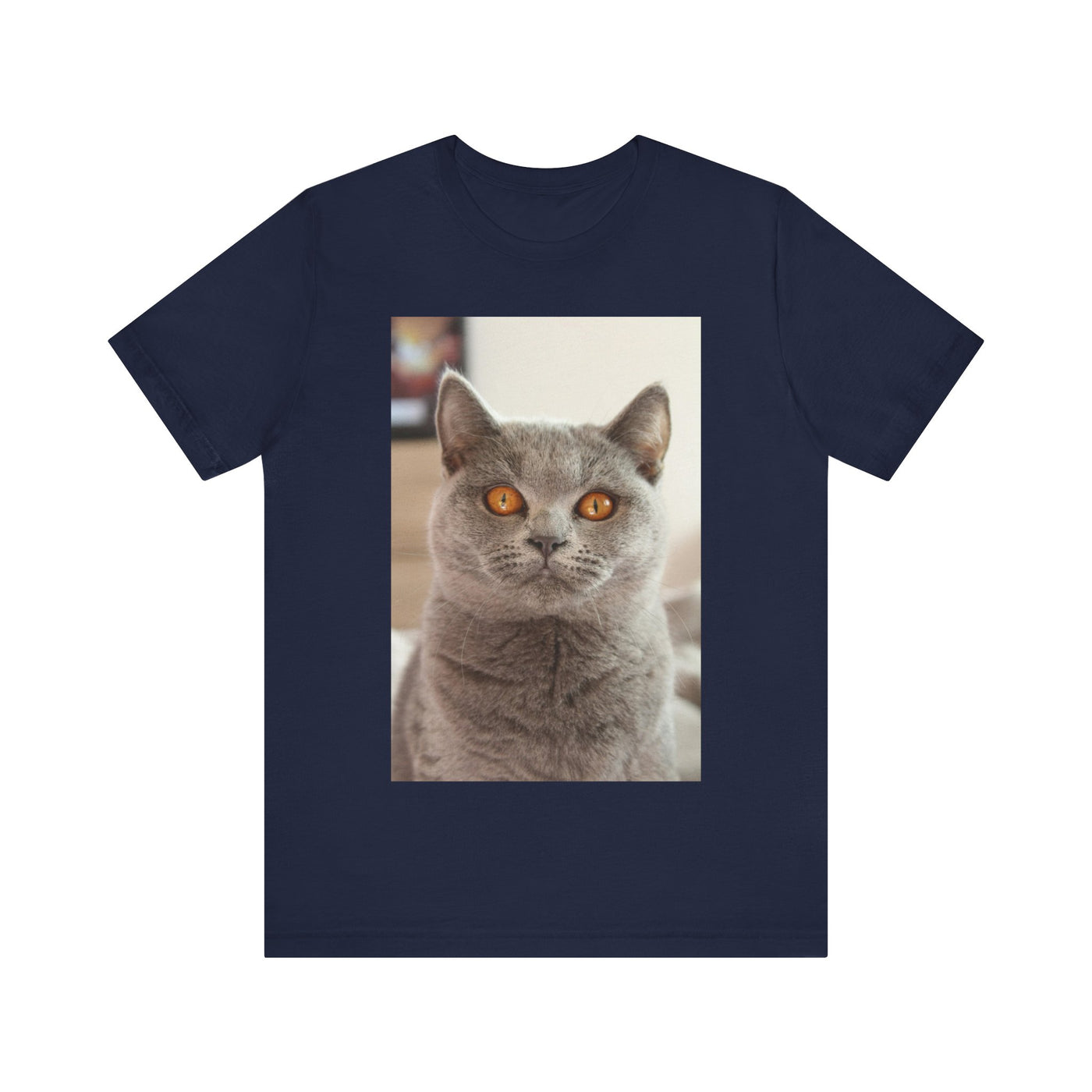Grey Cat looks at you - Unisex Jersey Short Sleeve Tee