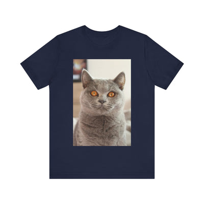 Grey Cat looks at you - Unisex Jersey Short Sleeve Tee