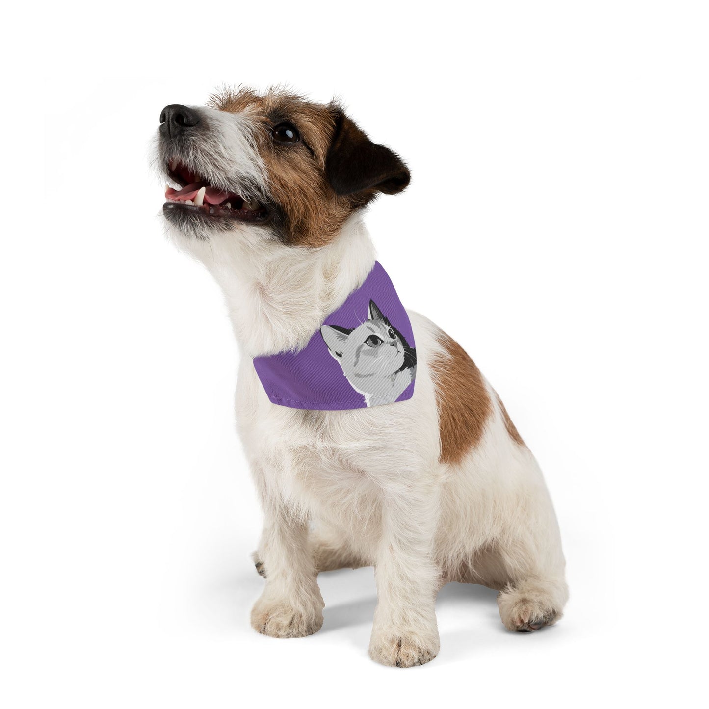 Cat head Bandana Collar Cats and Dogs Accessory Purple