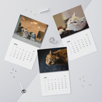2026 Cat Wall Calendar, Cute Kitten Theme, Animal Lover Gift, Pet Lover Wall Decor, Monthly Planner