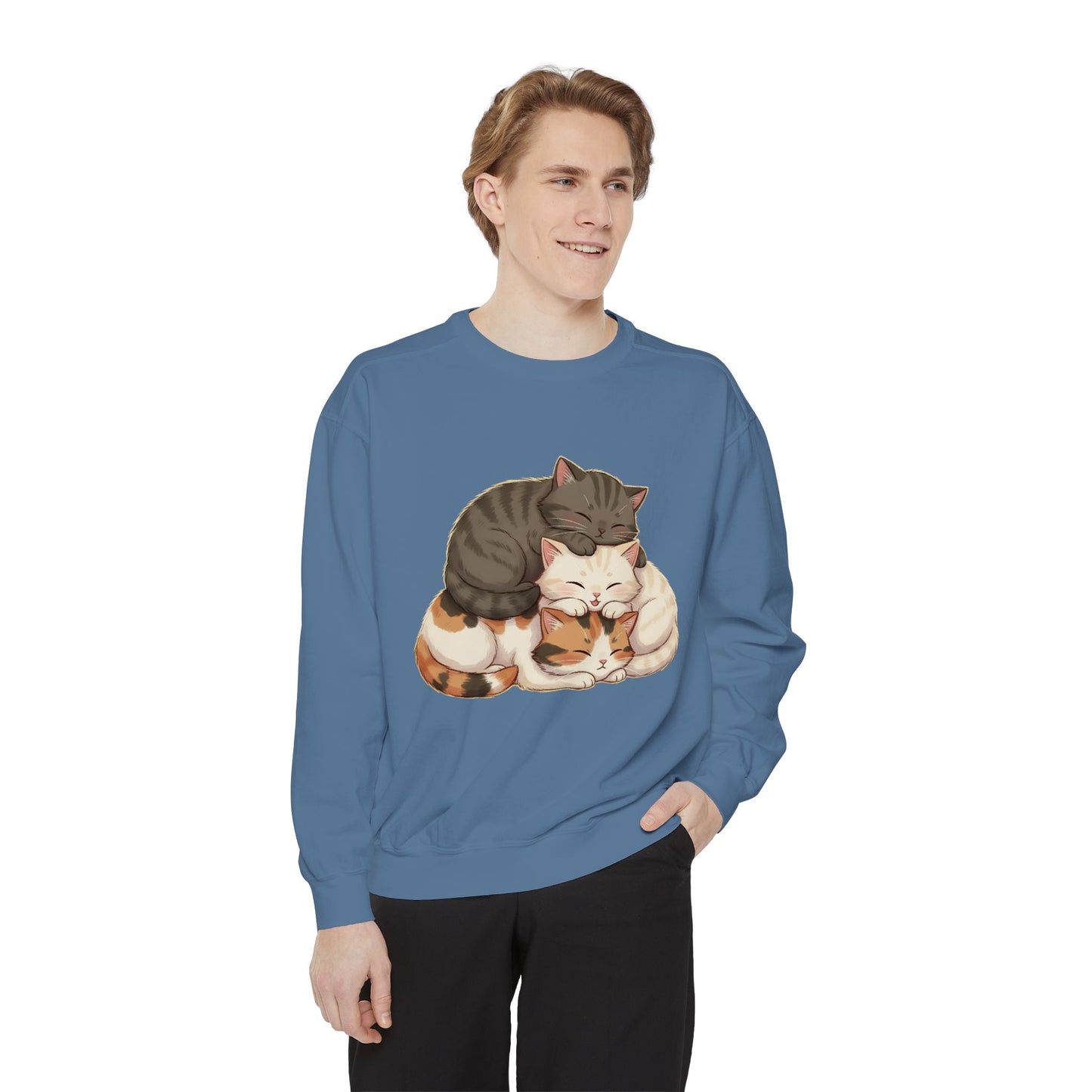 3 Cute Sleeping Cats Cozy Graphic Unisex Crewneck Sweatshirt style 3