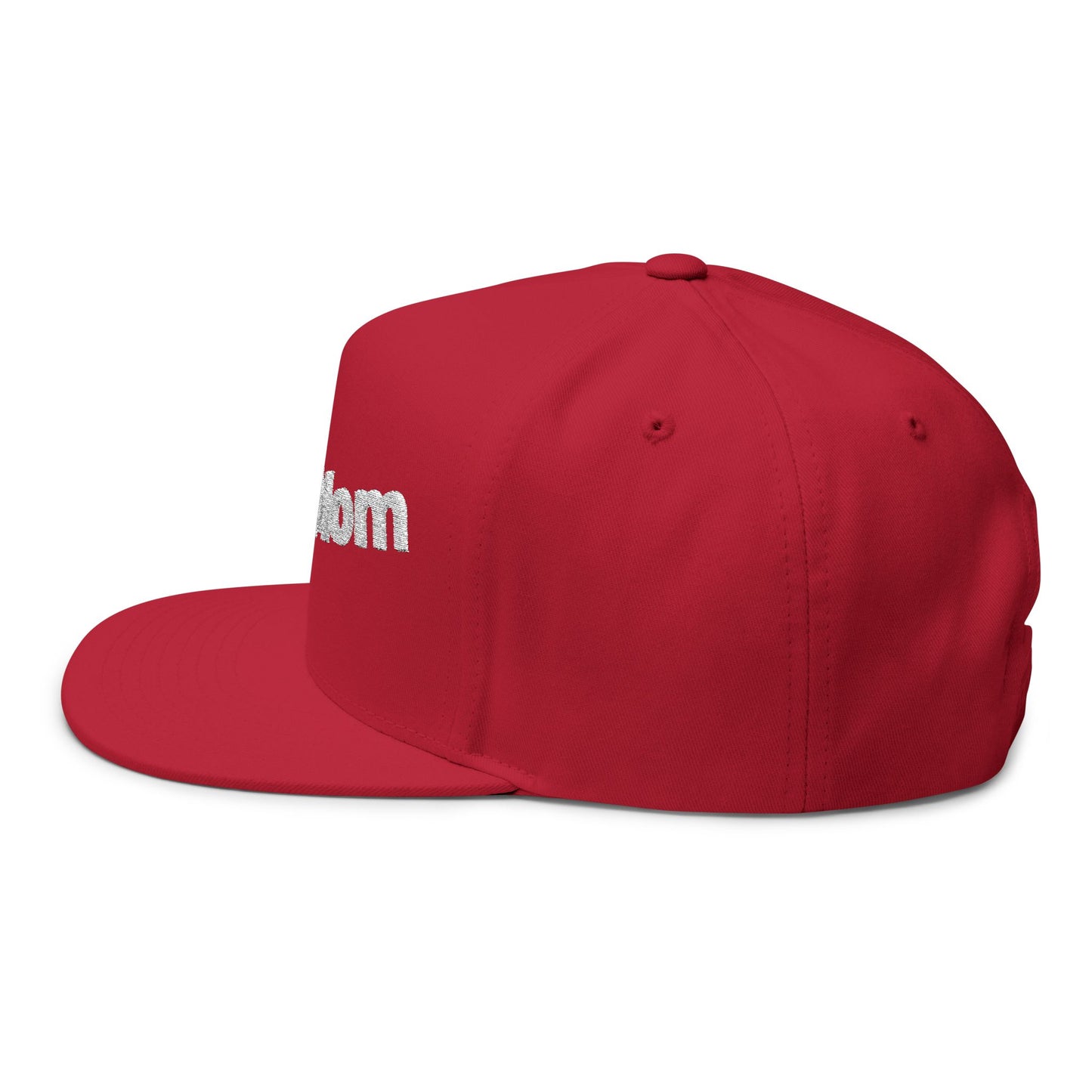 Stylish Embroidered Dog Mom Flat Bill Cap style 2