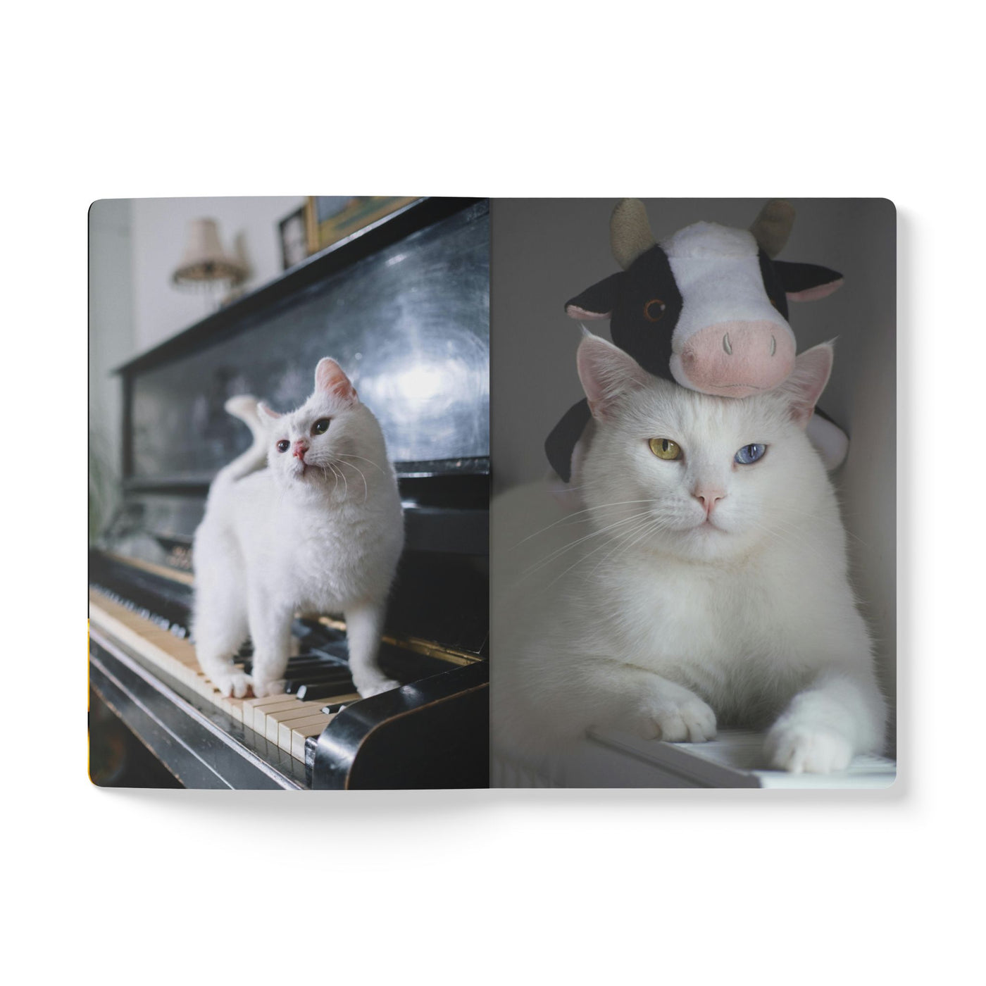 Cozy Cat Softcover Journal - Perfect for Nature Lovers, Gift for Pet Owners, Journal for Writing, Cute Cat Lover Notebook