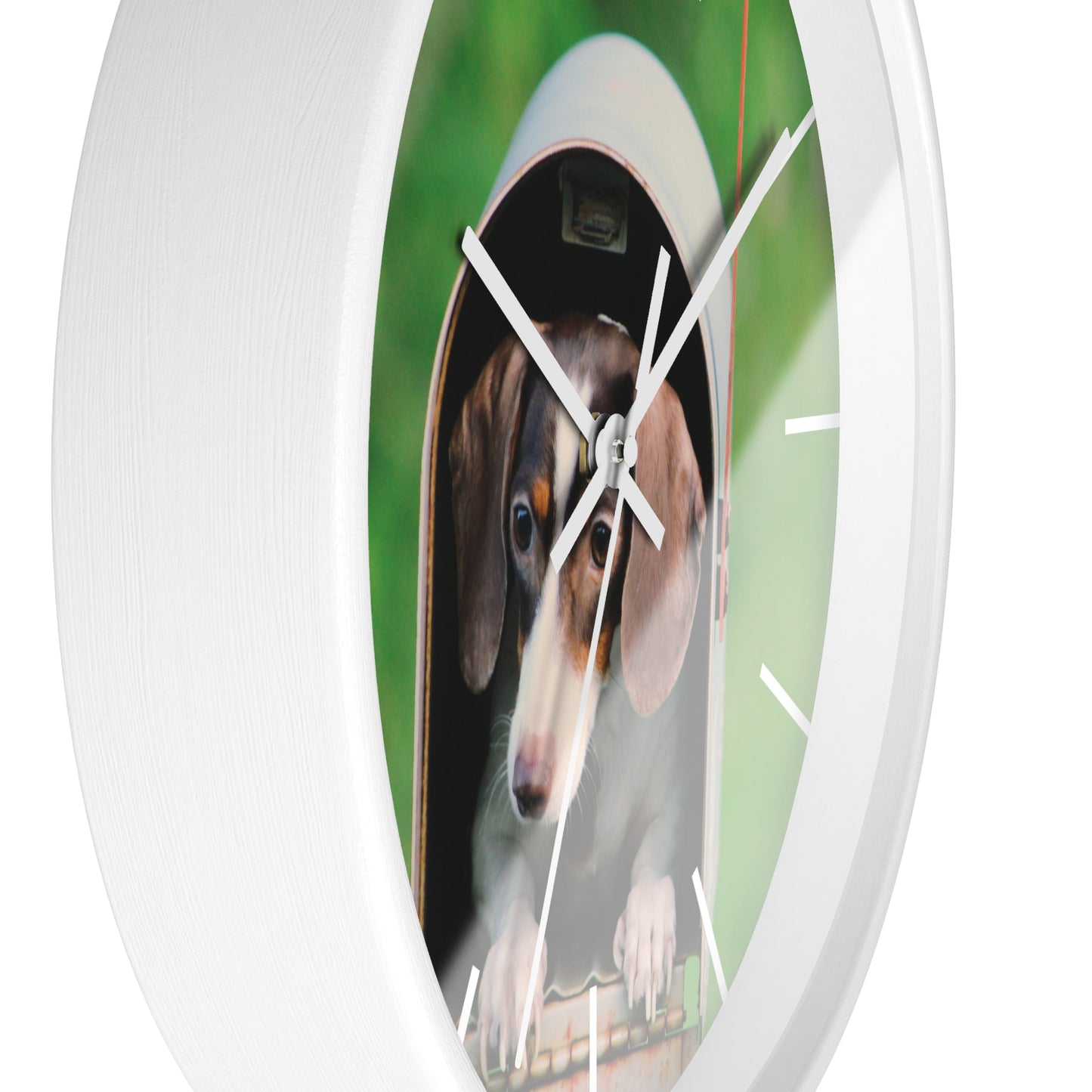 Dog in Post Box different colors Wall Clock