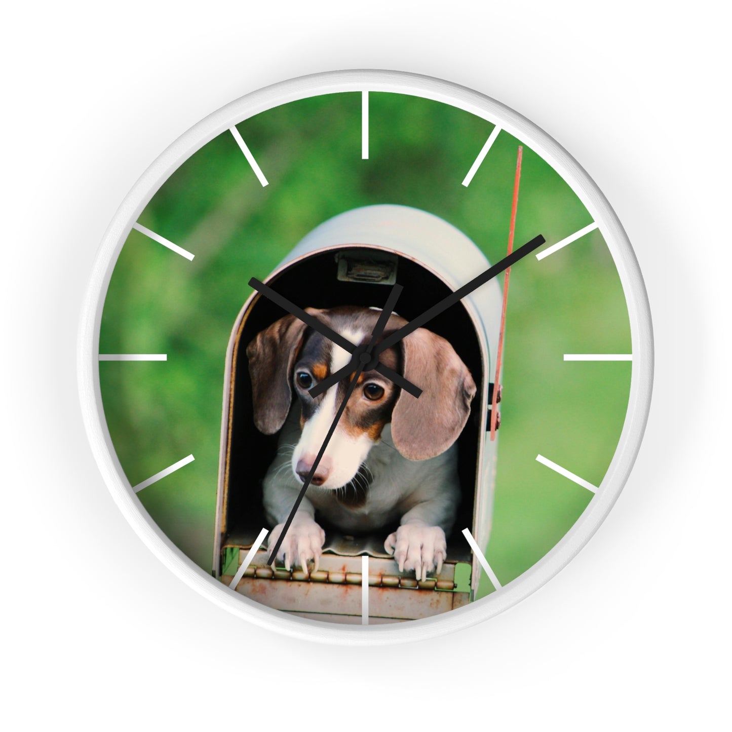 Dog in Post Box different colors Wall Clock